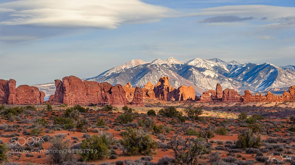 Nikon D700 sample photo. Desert splendor photography