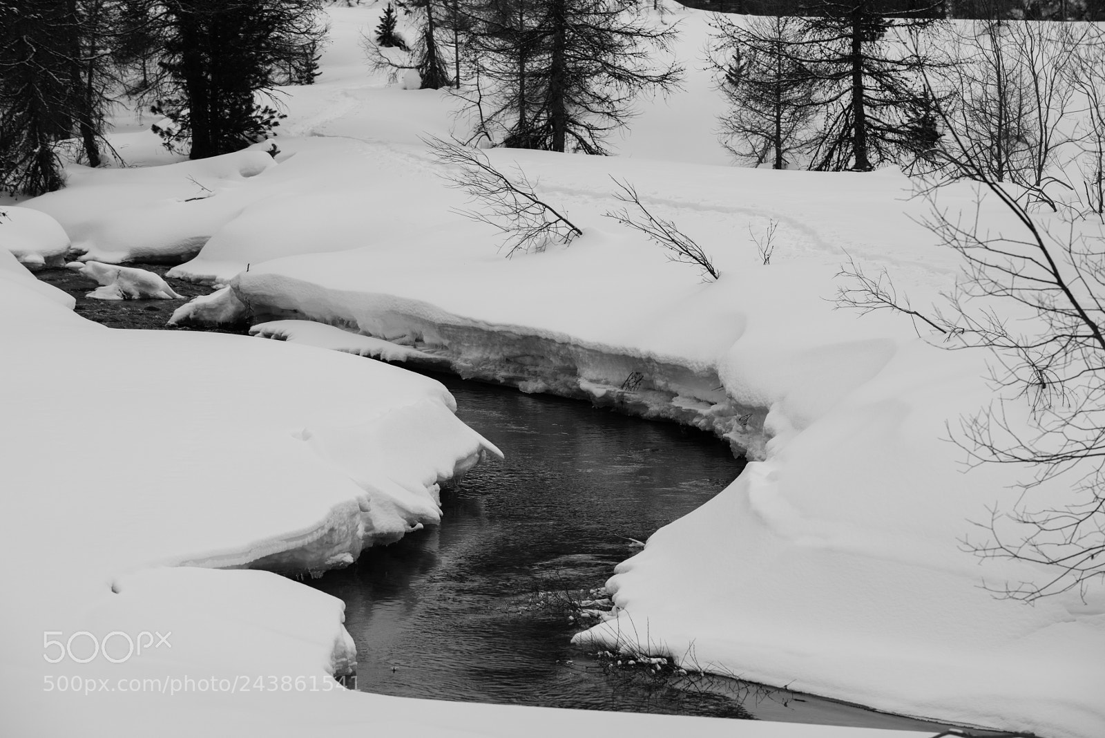 Nikon D800 sample photo. Winter landscape photography