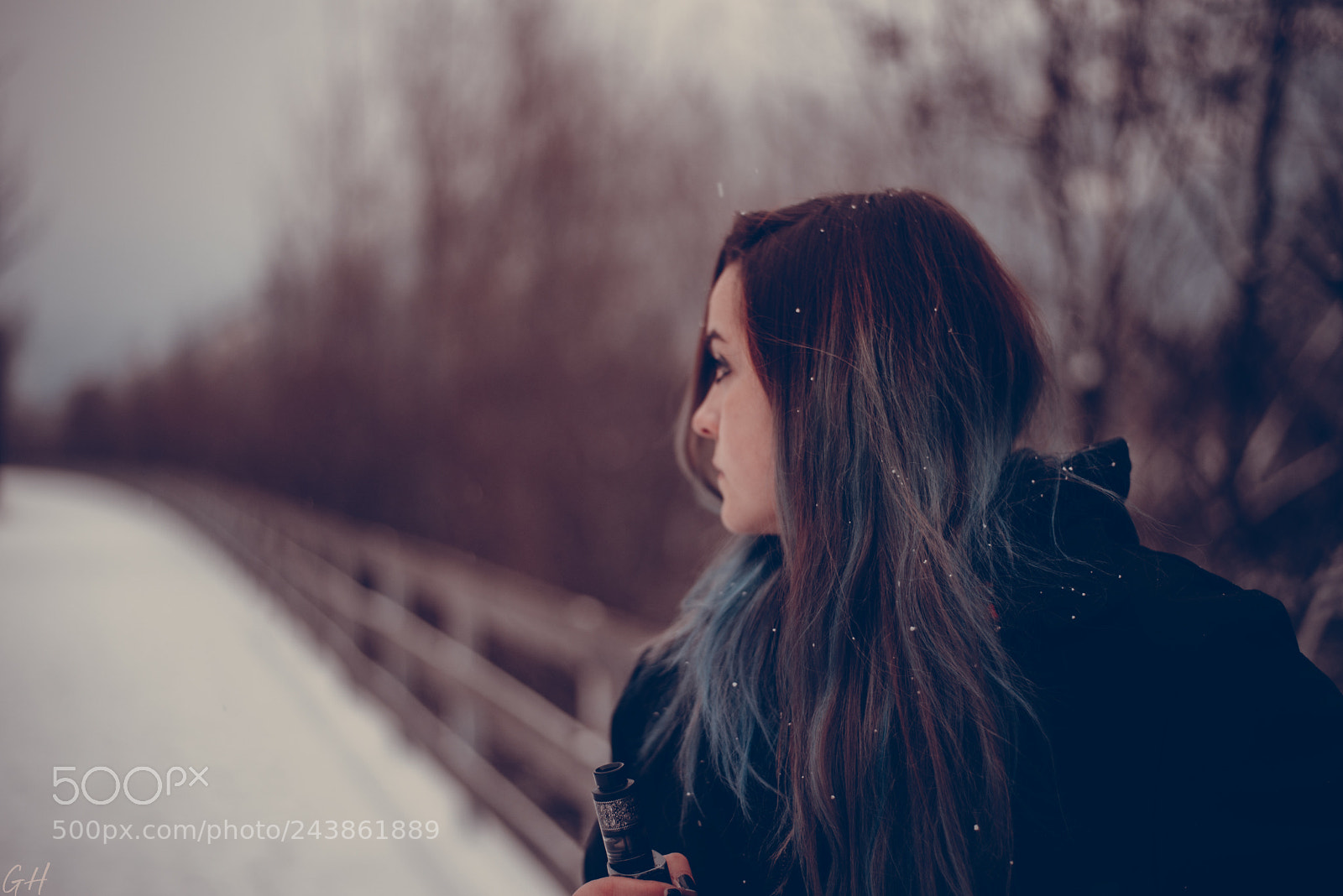 Nikon D610 sample photo. Let it snow! photography