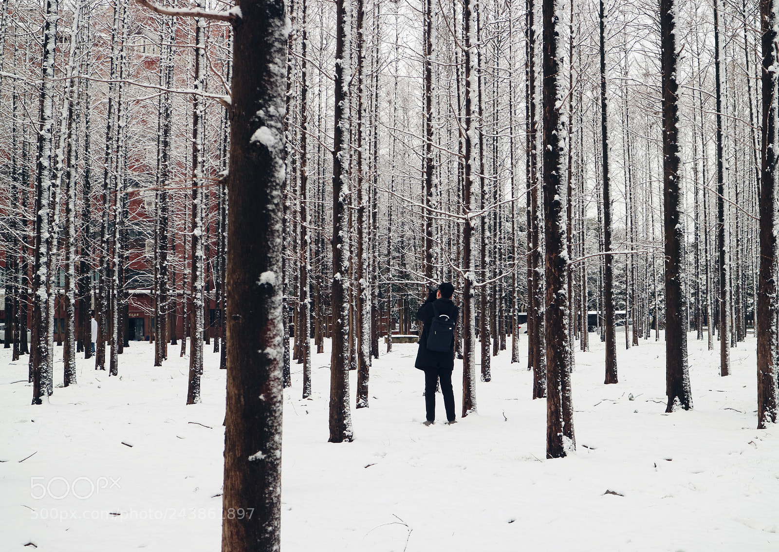 Canon EOS M3 sample photo. Winter photography
