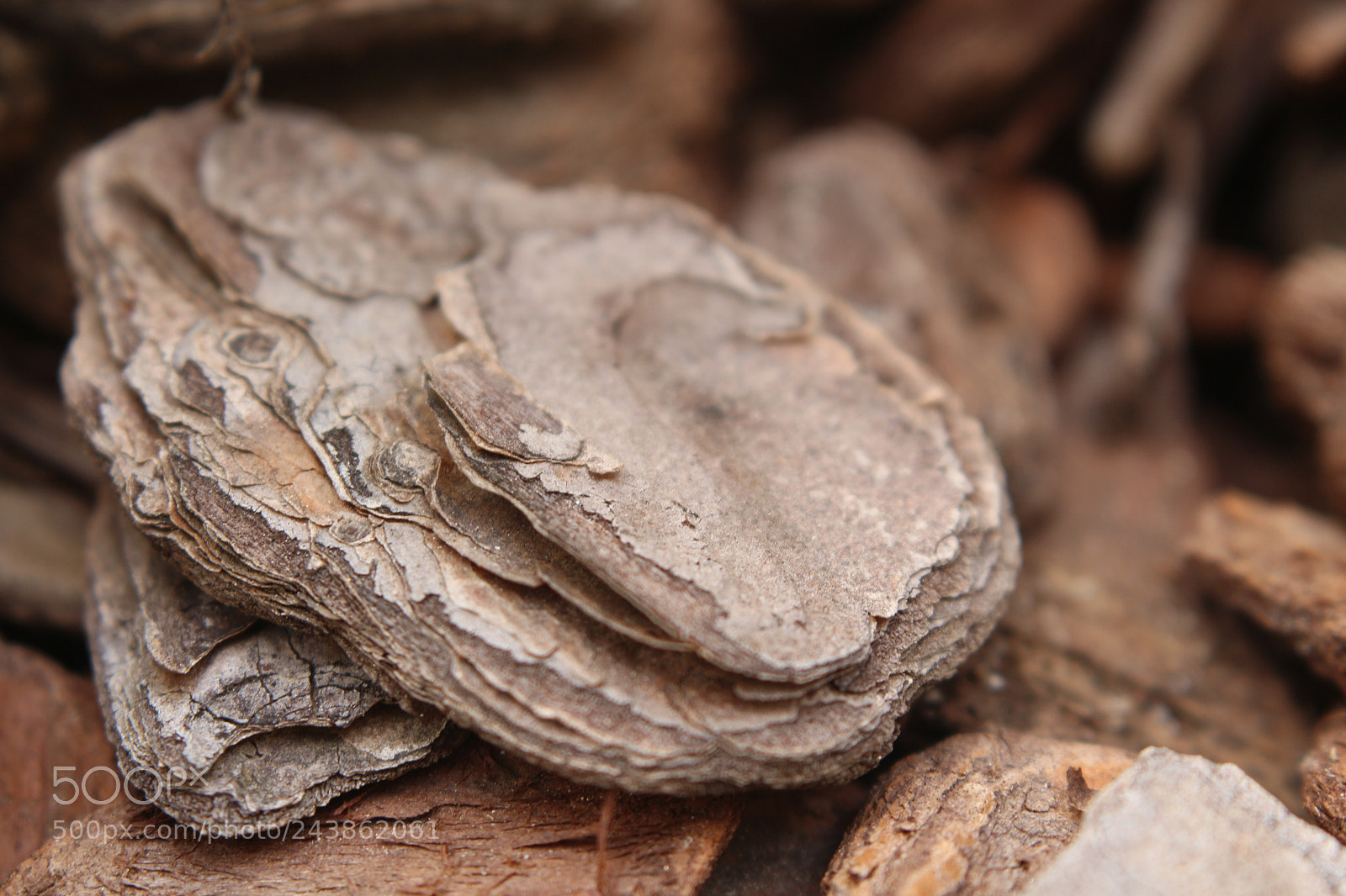 Canon EOS 700D (EOS Rebel T5i / EOS Kiss X7i) sample photo. Rock photography