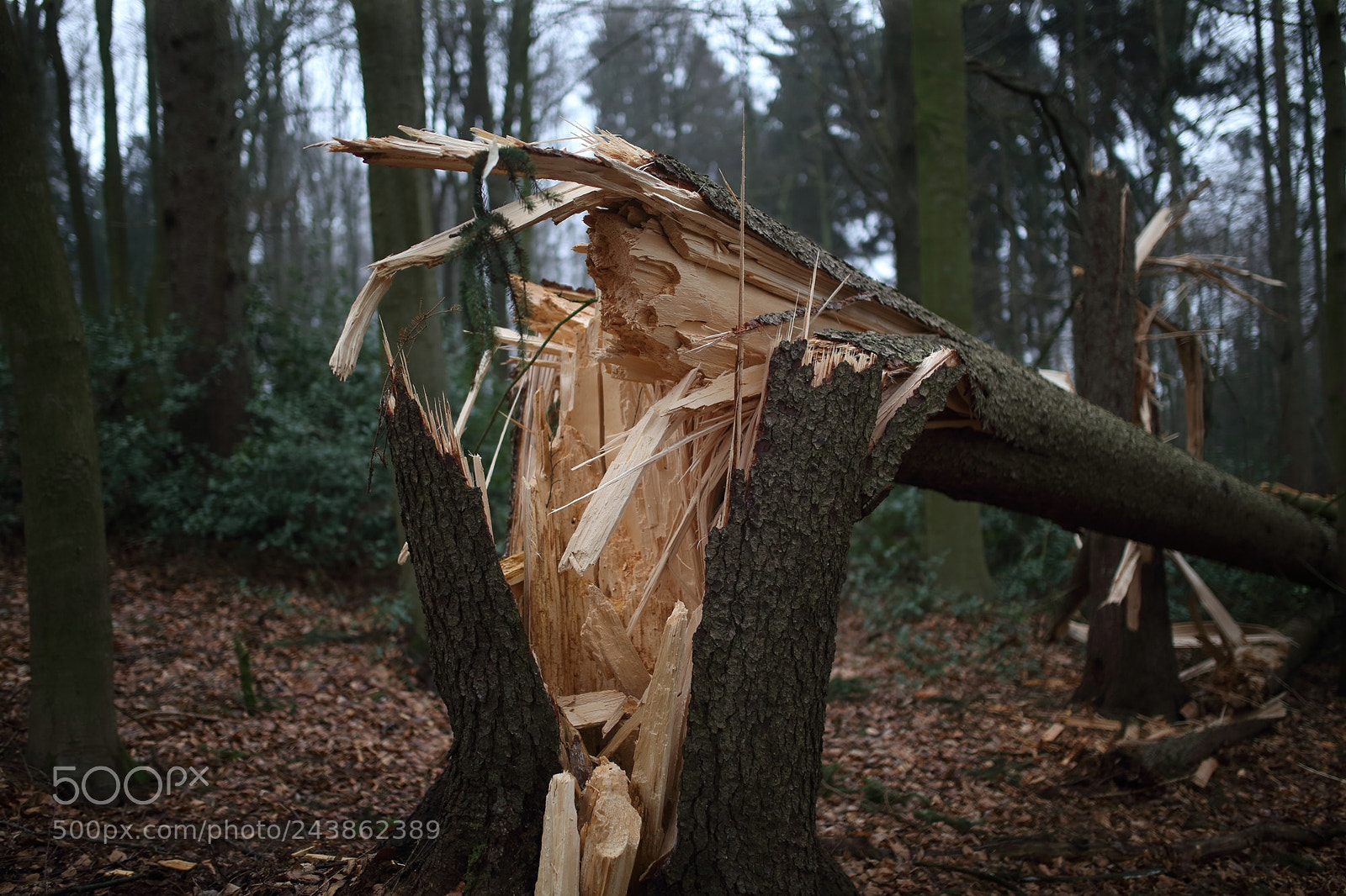 Sigma 35mm F1.4 DG HSM Art sample photo. Storm photography