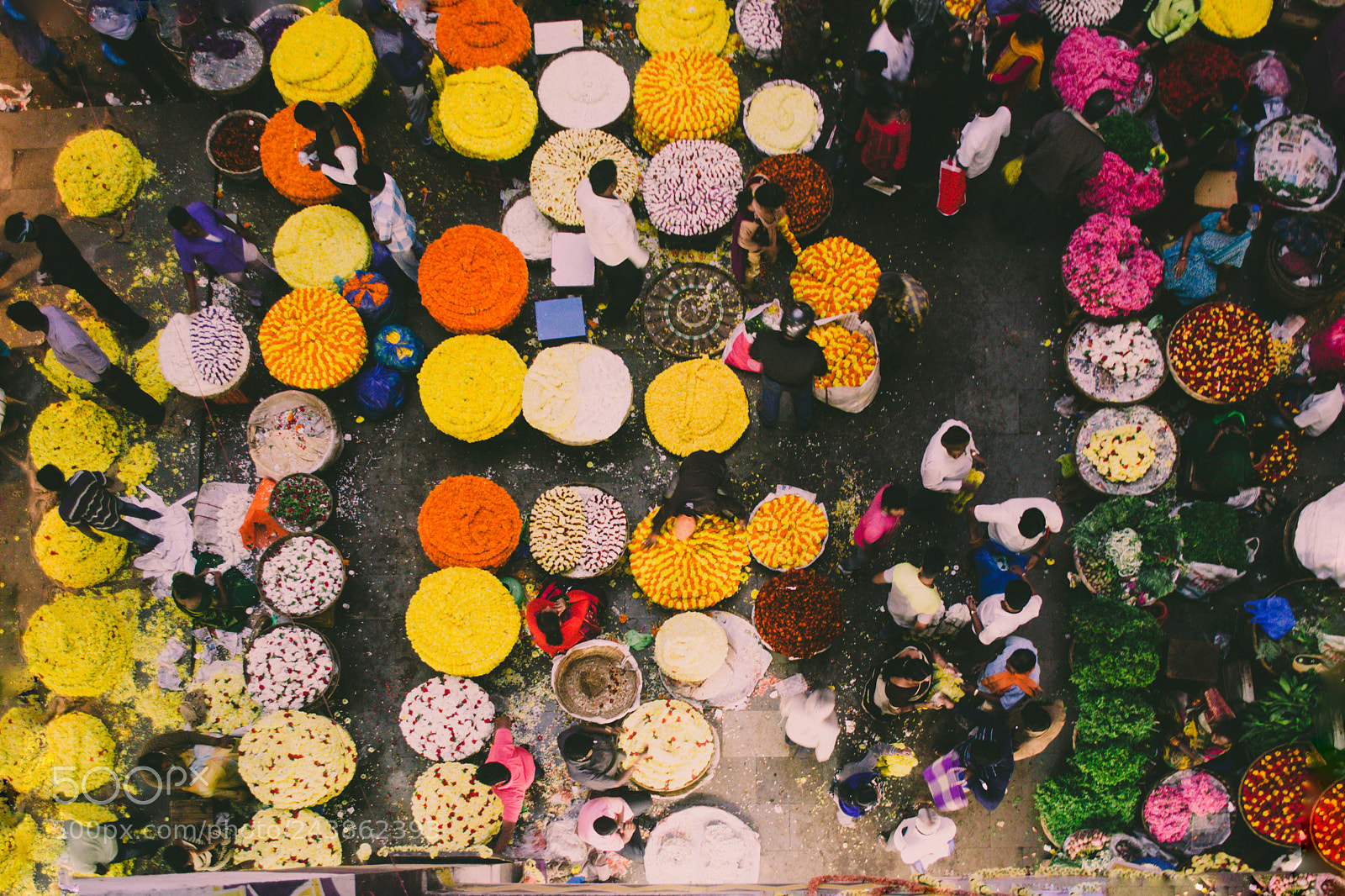 Nikon D3100 sample photo. Flower market photography