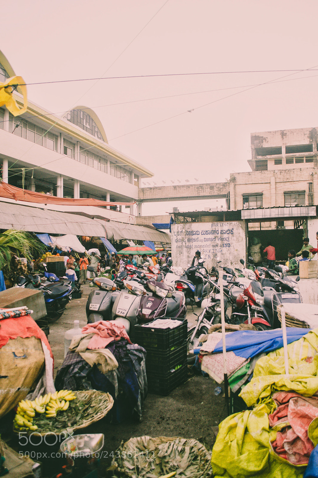 Nikon D3100 sample photo. Flower market photography