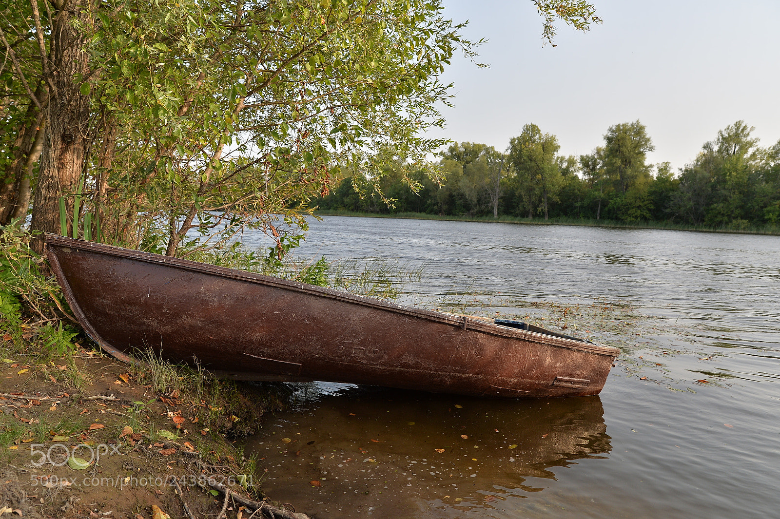 Nikon Df sample photo. Nature photography