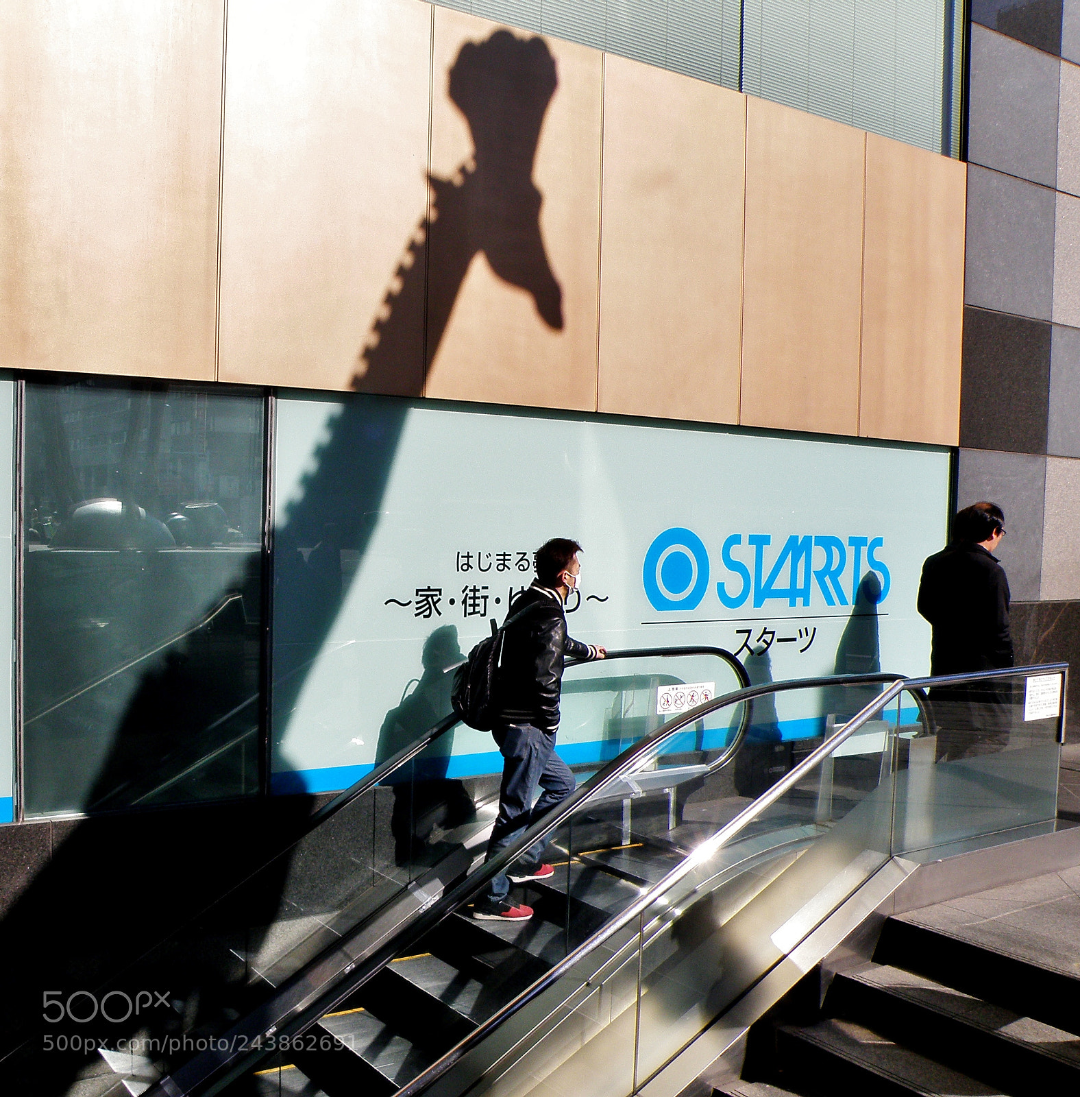Olympus SP570UZ sample photo. Giraffe emerges in the photography