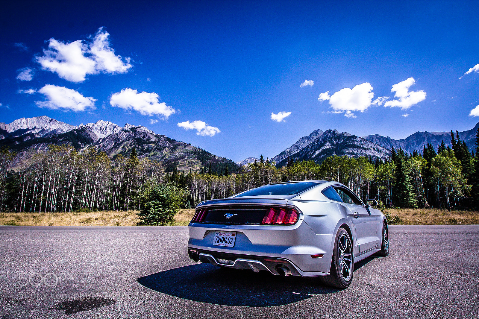 Canon EOS 450D (EOS Rebel XSi / EOS Kiss X2) sample photo. The mustang and the photography