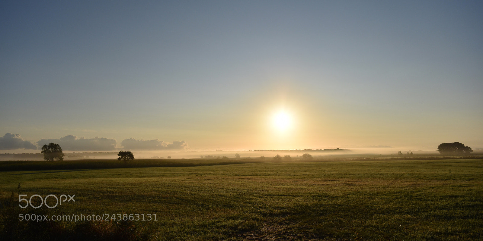 Nikon D5500 sample photo. 朝靄 photography