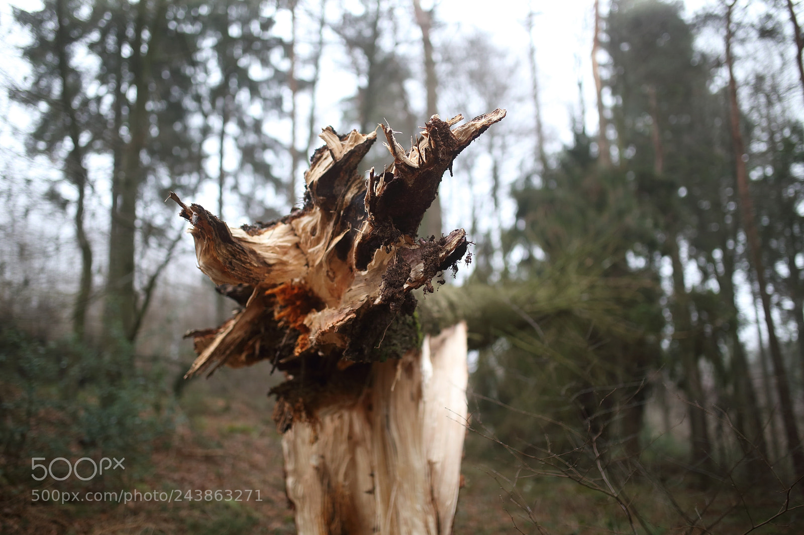 Sigma 35mm F1.4 DG HSM Art sample photo. Storm photography
