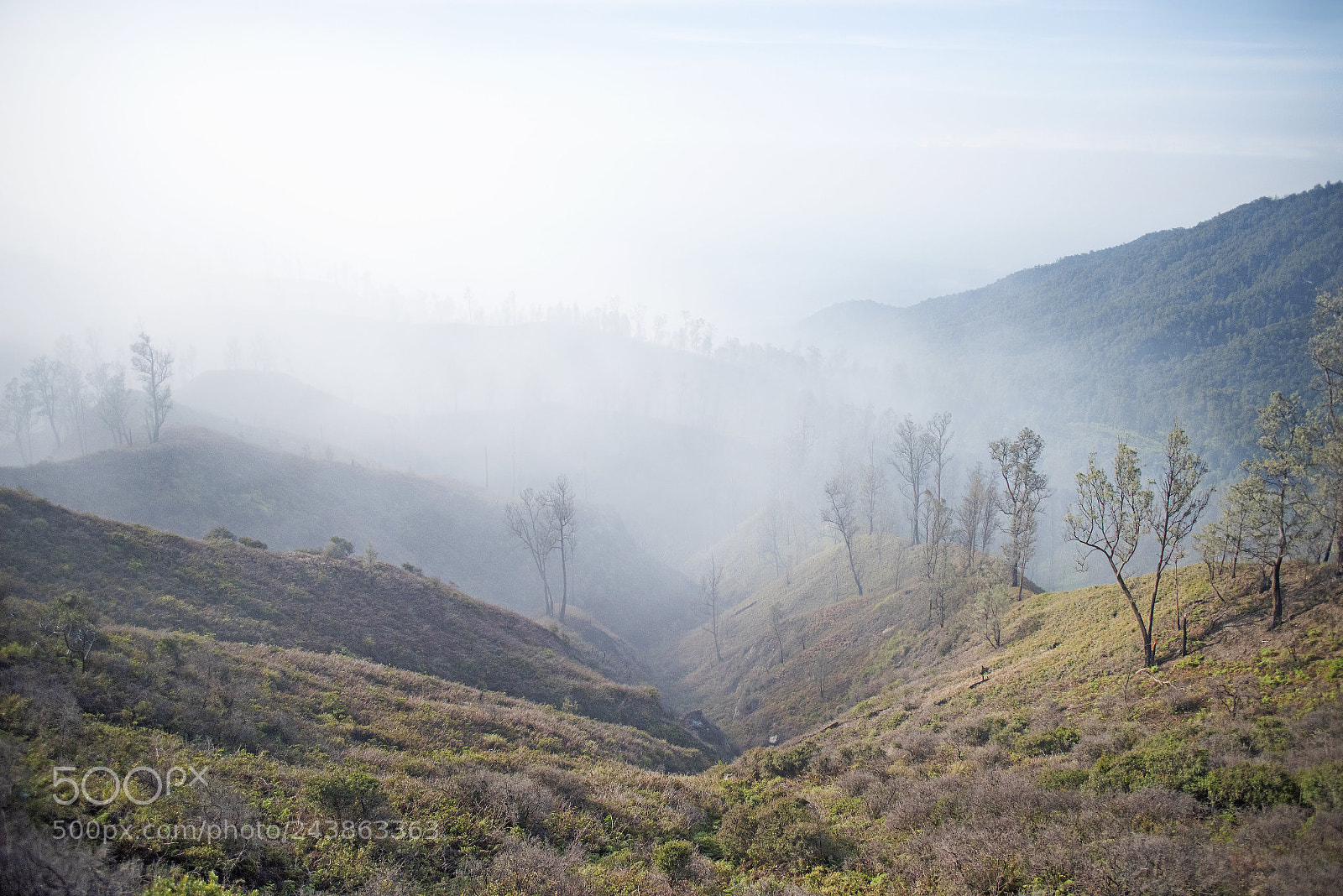 Nikon D810 sample photo. Ijen photography