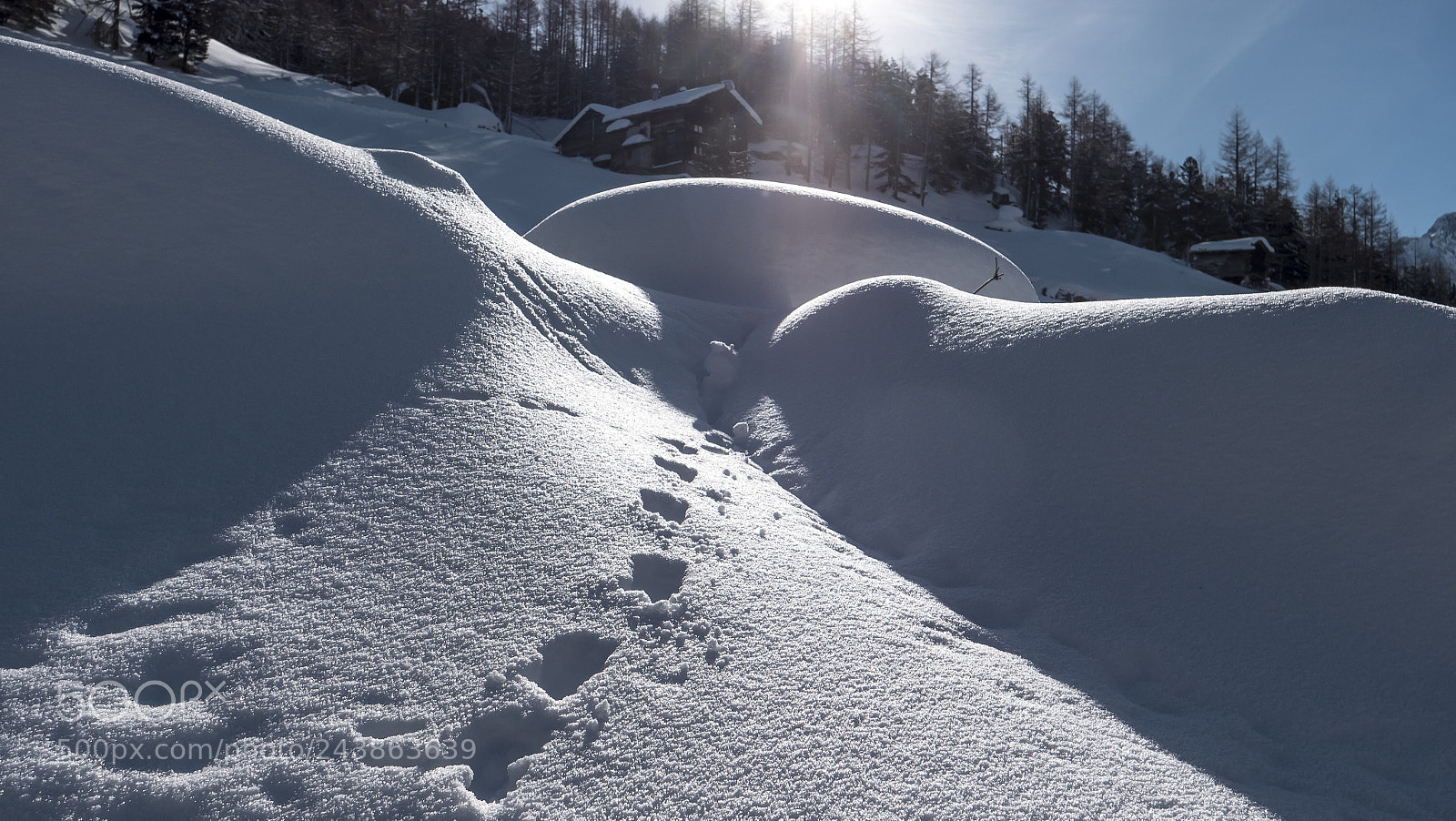 Panasonic Lumix DC-G9 sample photo. Winter on a maiens photography