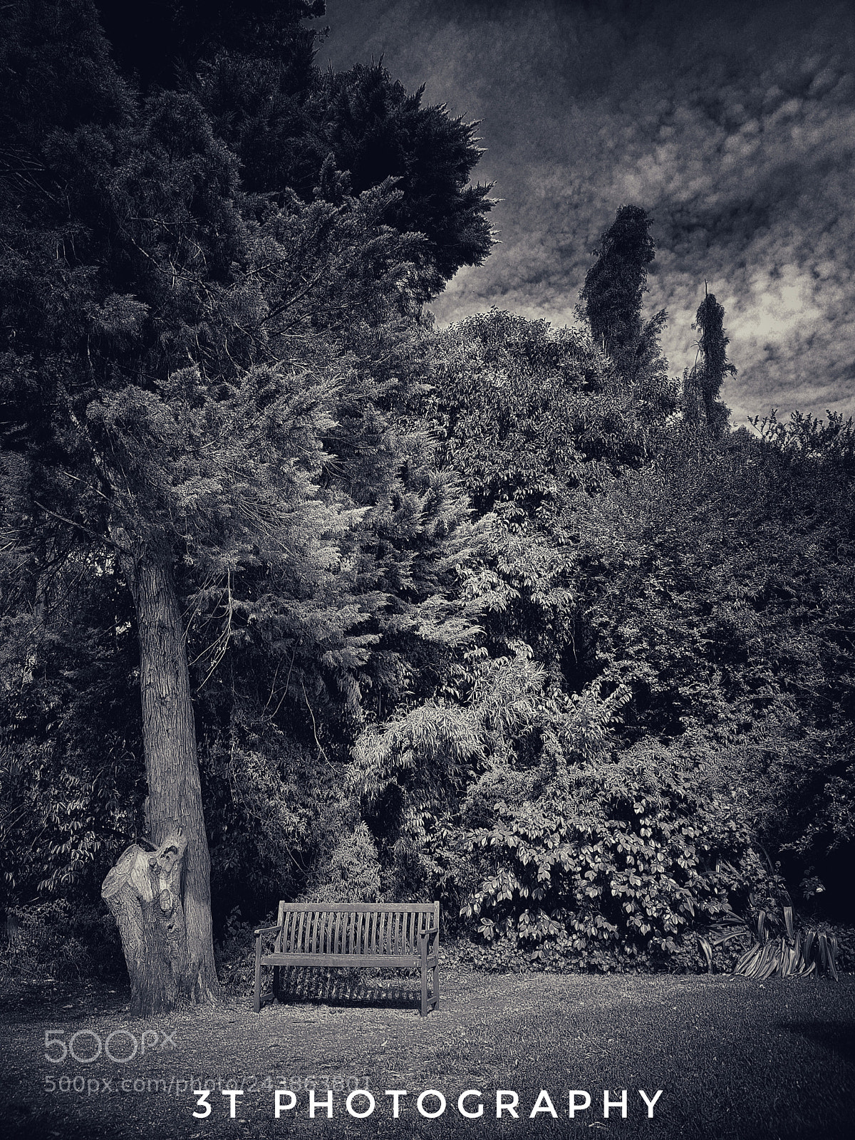 Samsung Galaxy S8+ sample photo. Black and white of photography