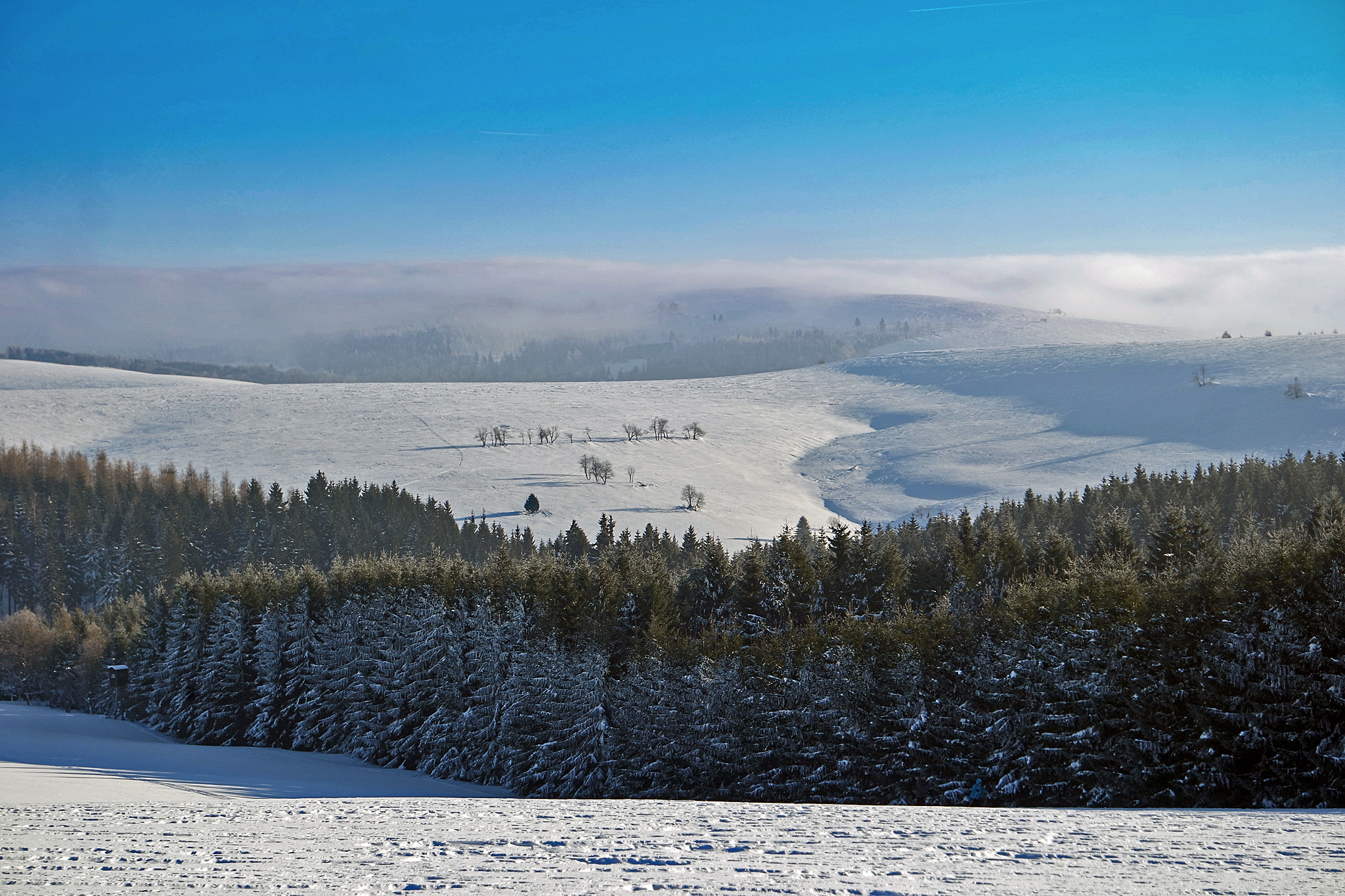 Samsung NX3300 sample photo. Blick auf den "böhmischen nebel" (01/2017) photography