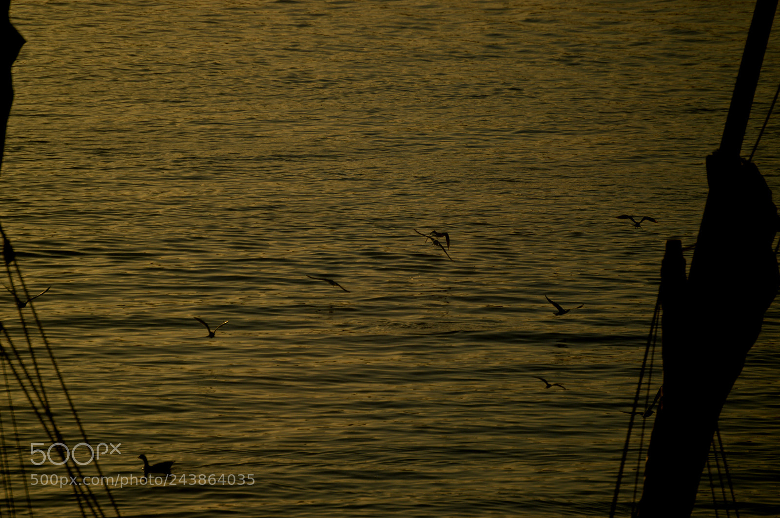 Nikon D3200 sample photo. Nile photography