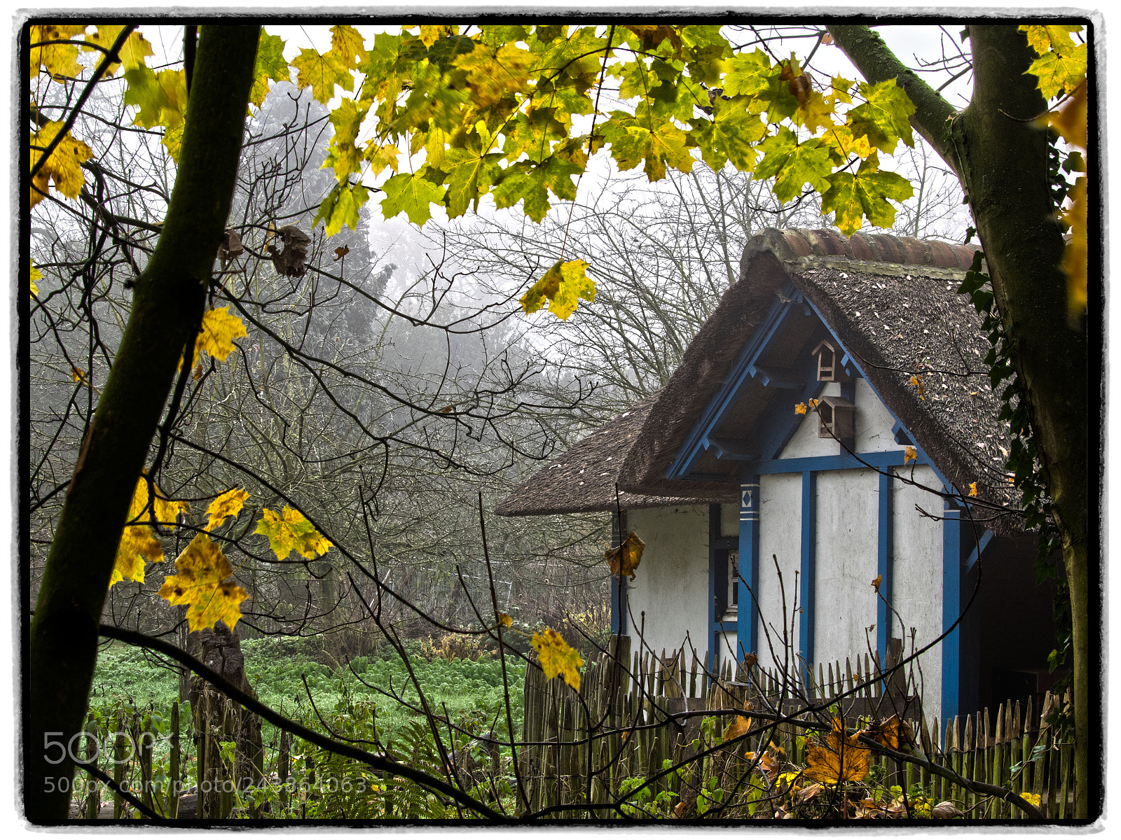 Olympus OM-D E-M1 sample photo. Autumn scene with rustic photography