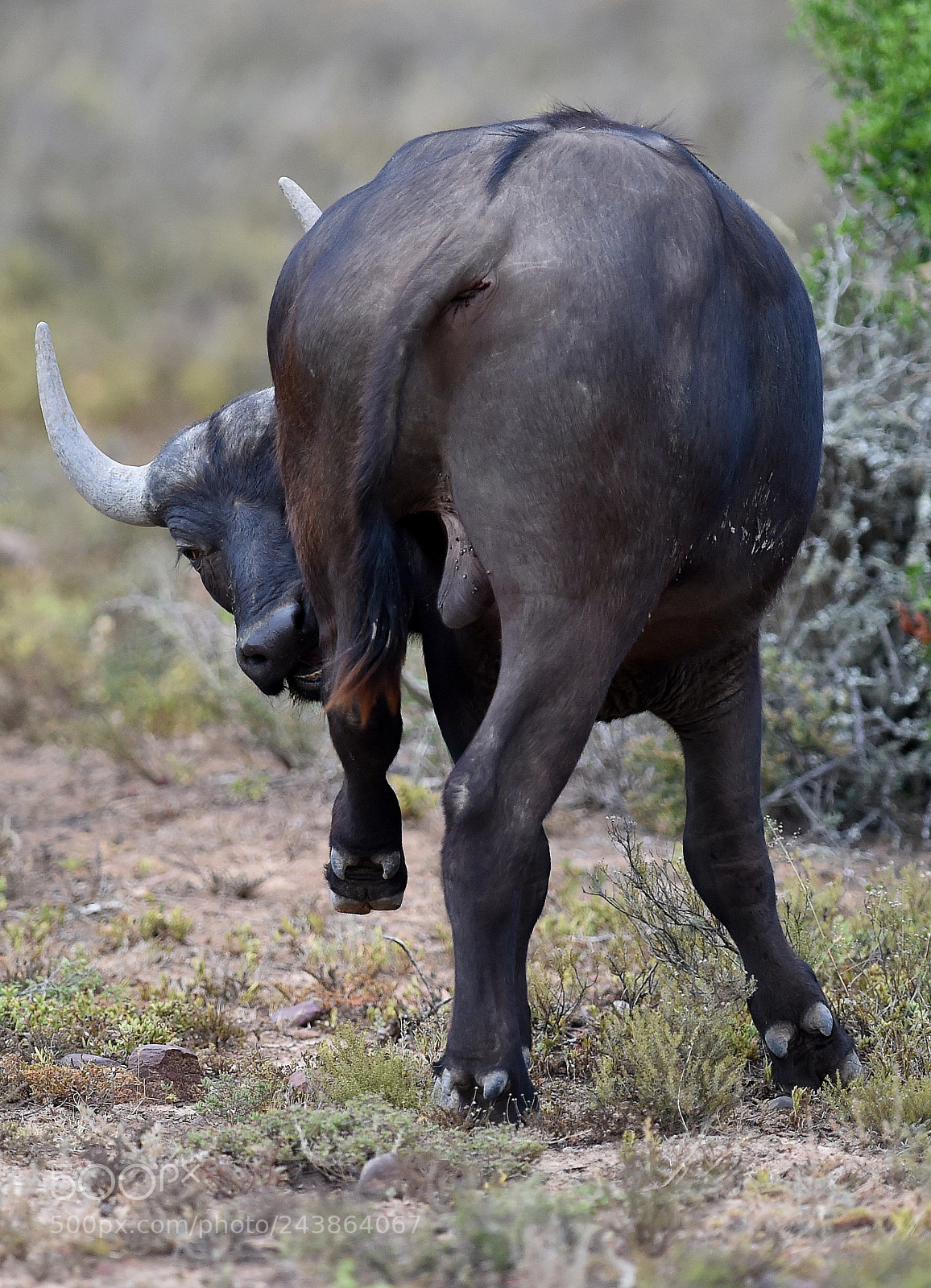 Nikon D4S sample photo. Check it out photography
