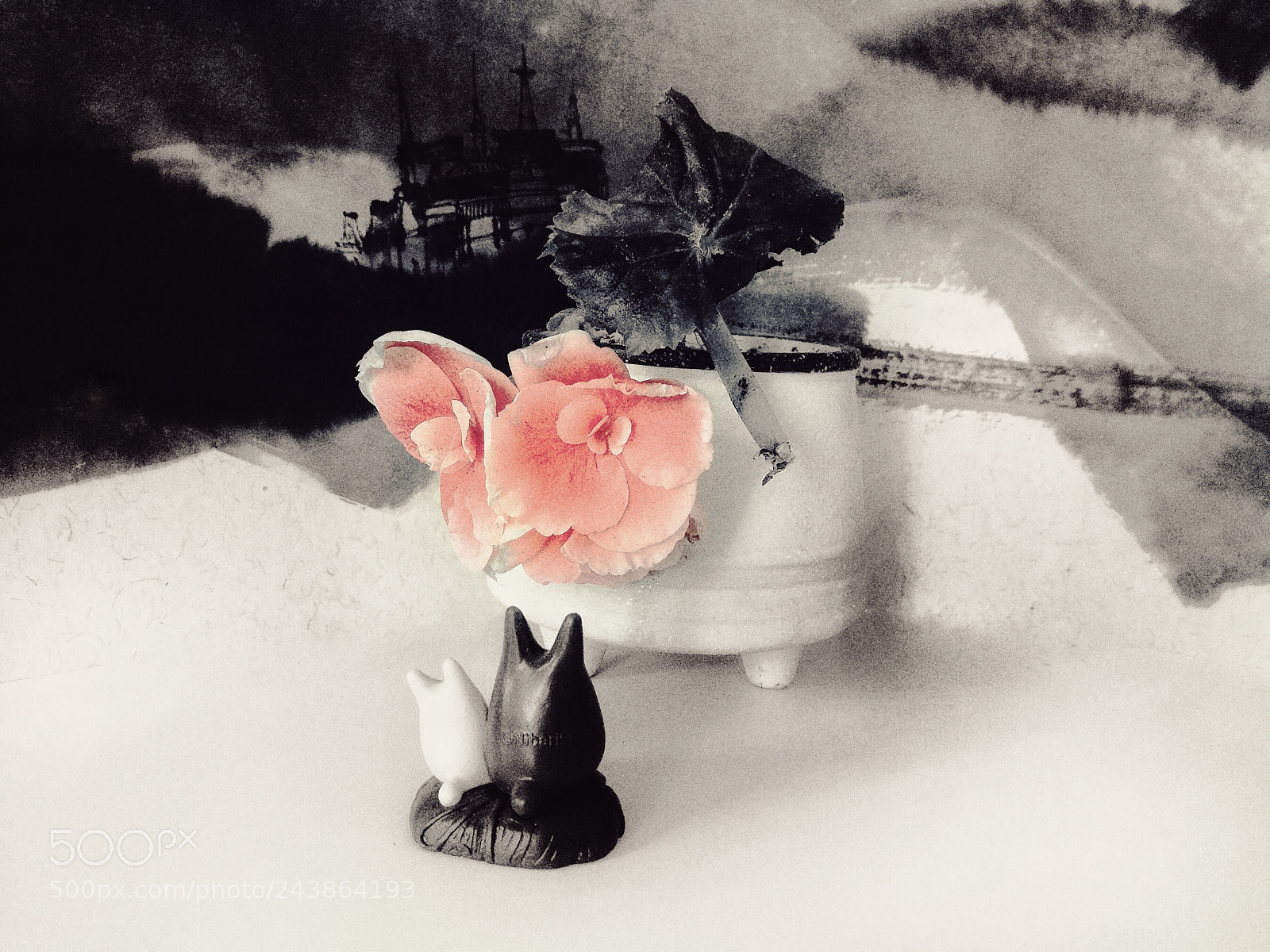 HUAWEI P9 sample photo. Untitled photography