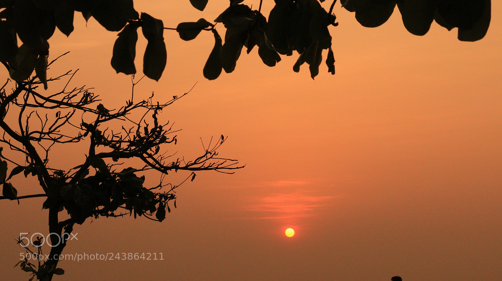 Canon EOS 70D sample photo. Sunset photography