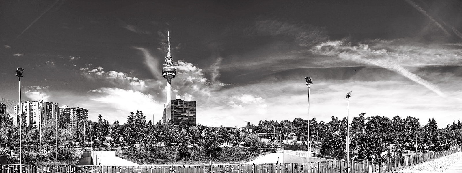 Nikon D800 sample photo. Untitled photography