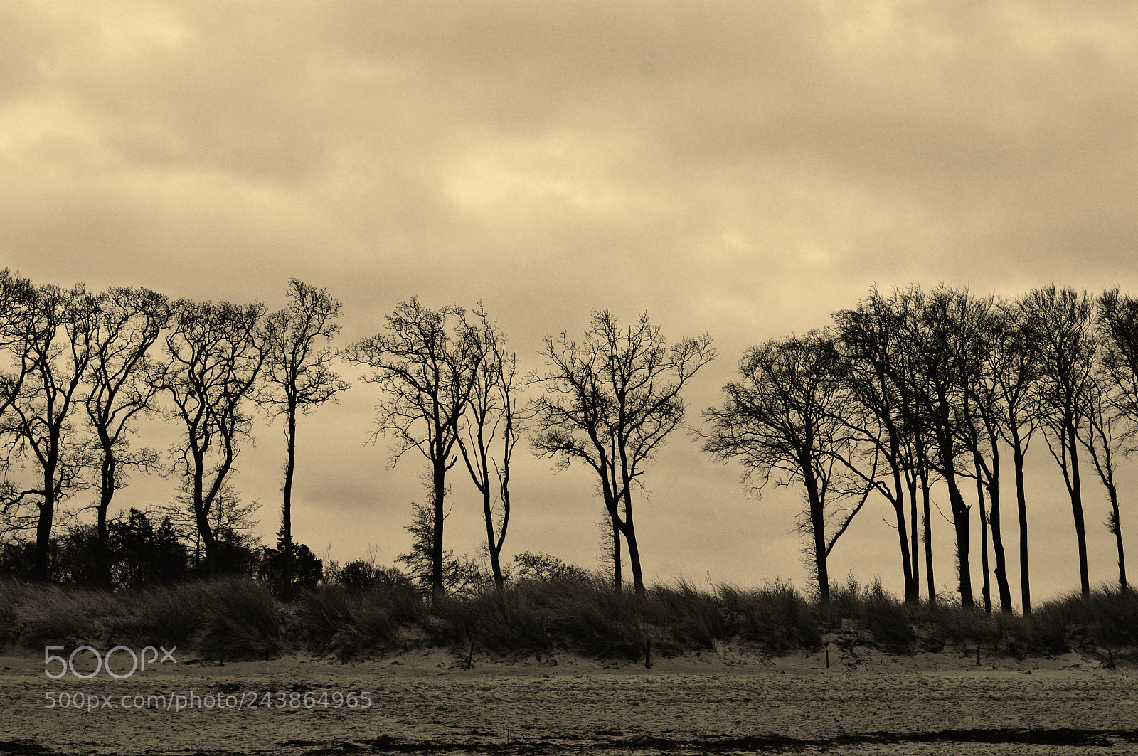 Nikon D3200 sample photo. Still wind photography