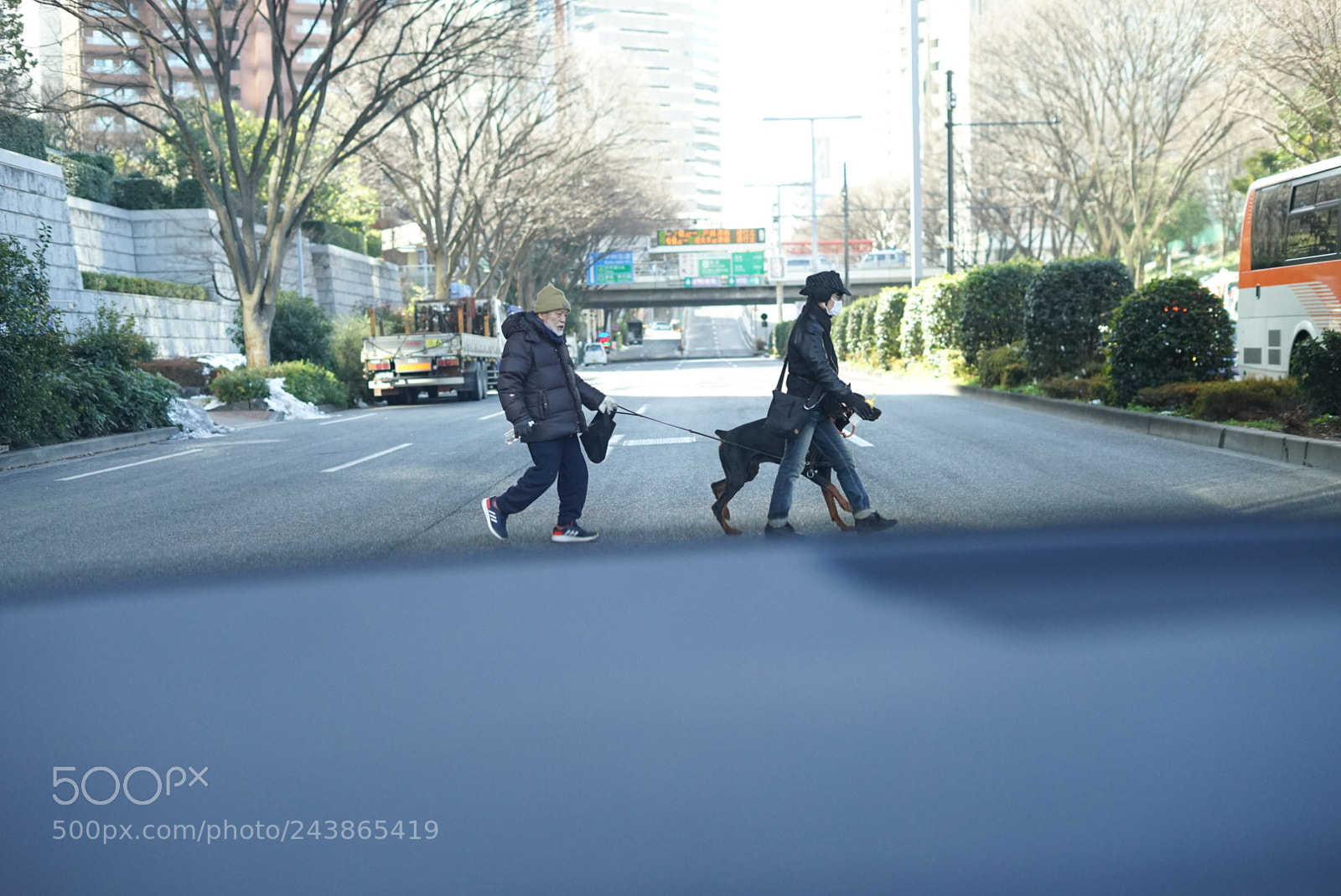 Sony a7 II sample photo. てくてくてく photography