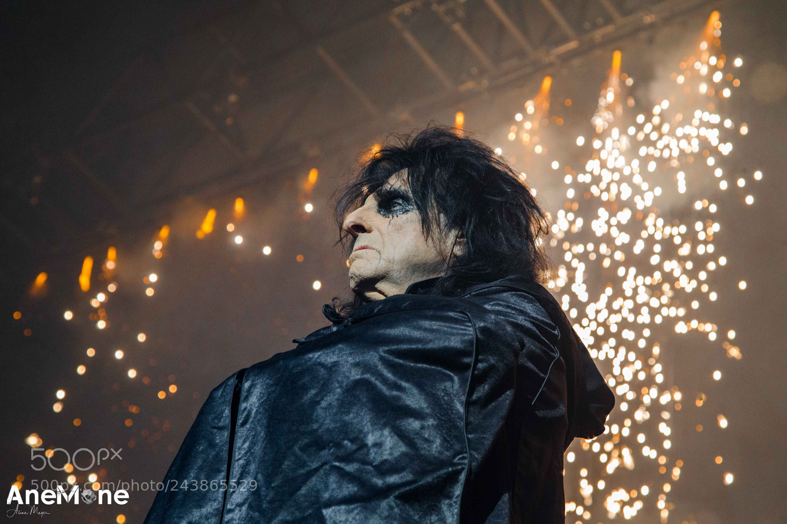 Canon EOS-1D X sample photo. Alice cooper photography