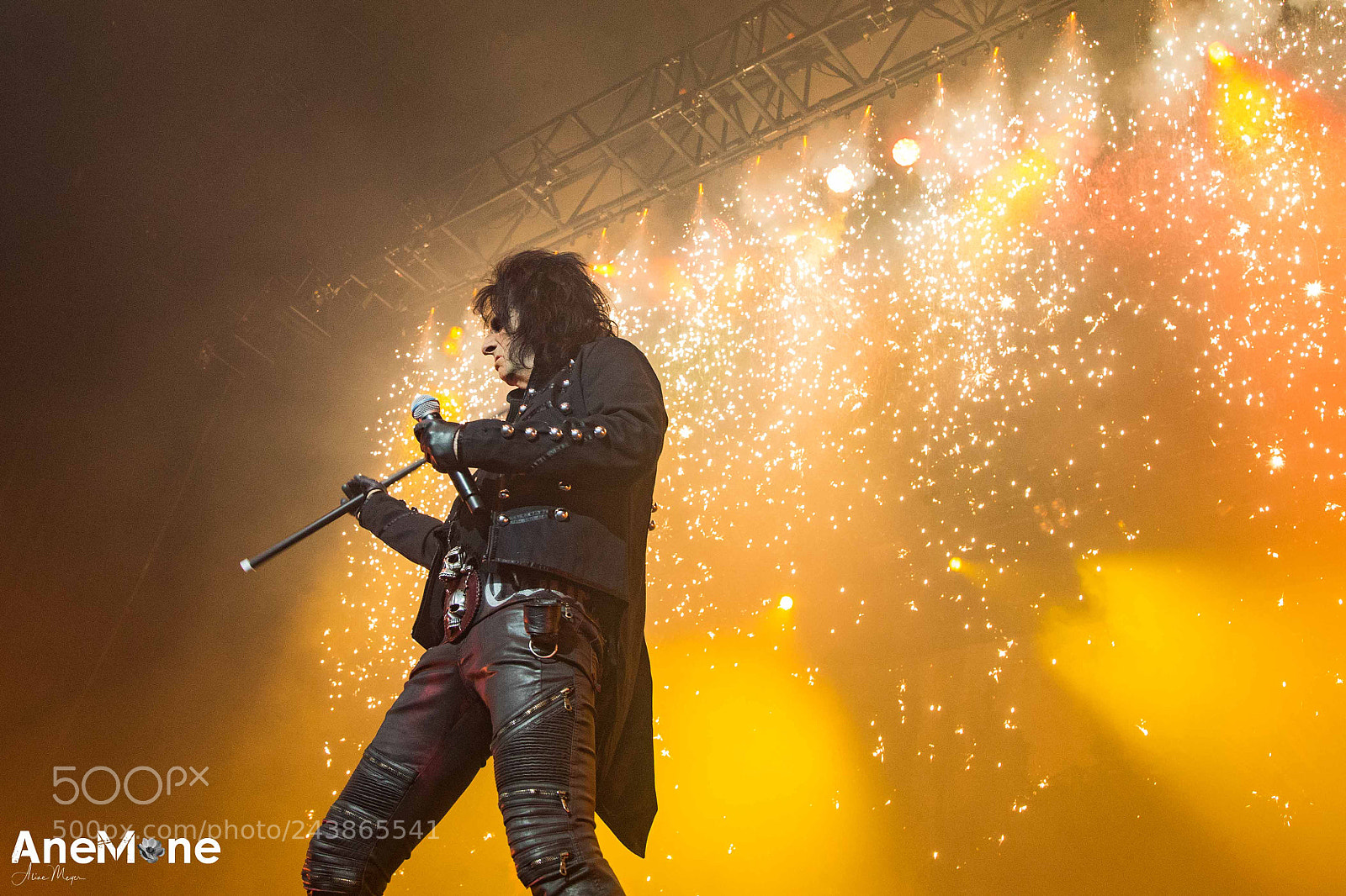 Canon EOS-1D X sample photo. Alice cooper photography