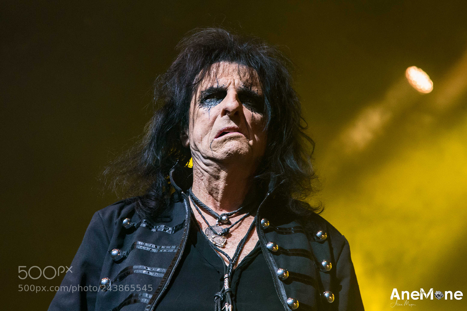 Canon EOS-1D X sample photo. Alice cooper photography