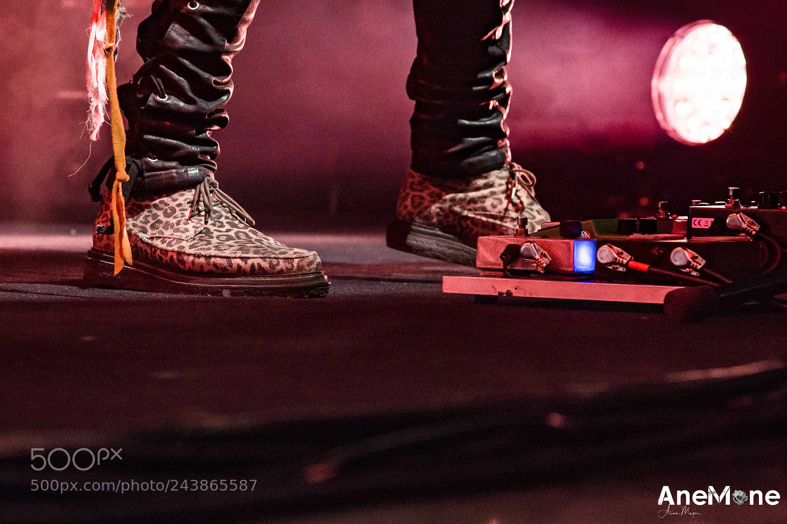 Canon EOS-1D X sample photo. Alice cooper photography