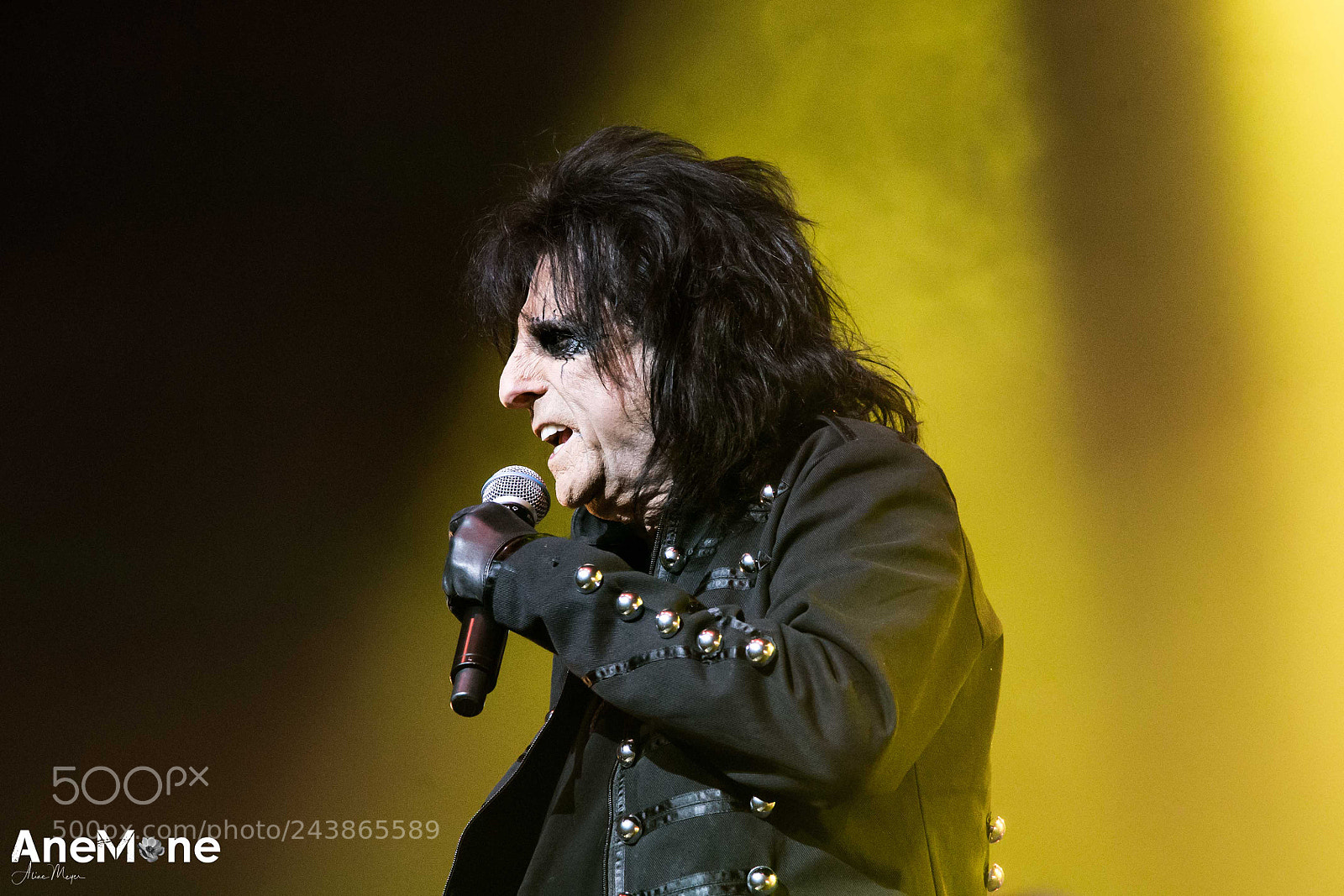 Canon EOS-1D X sample photo. Alice cooper photography