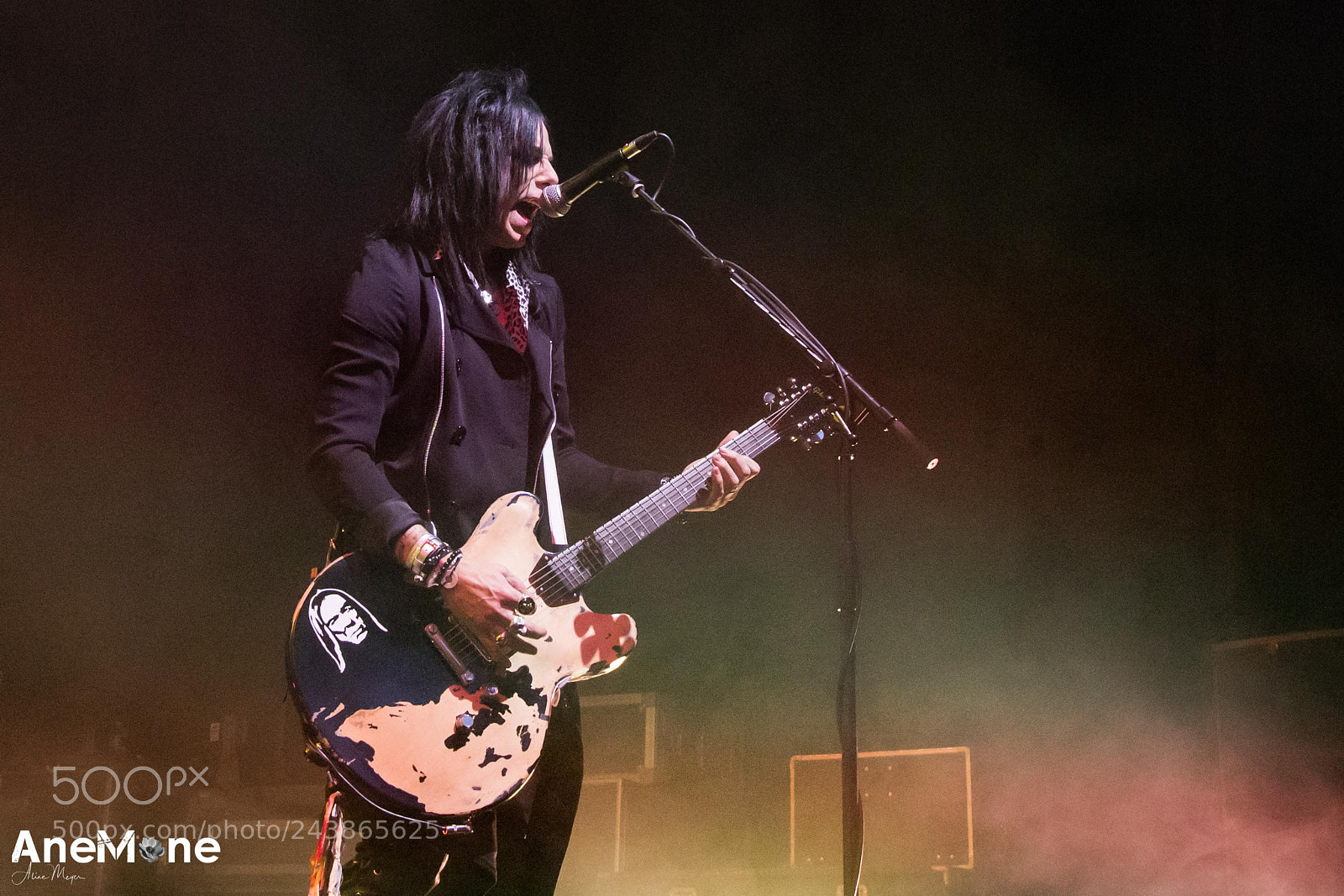 Canon EOS-1D X sample photo. Alice cooper photography