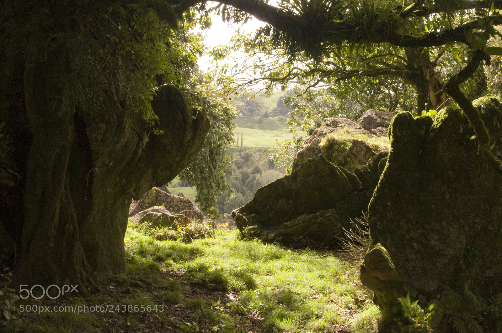 Pentax K-r sample photo. Mystical view in the photography