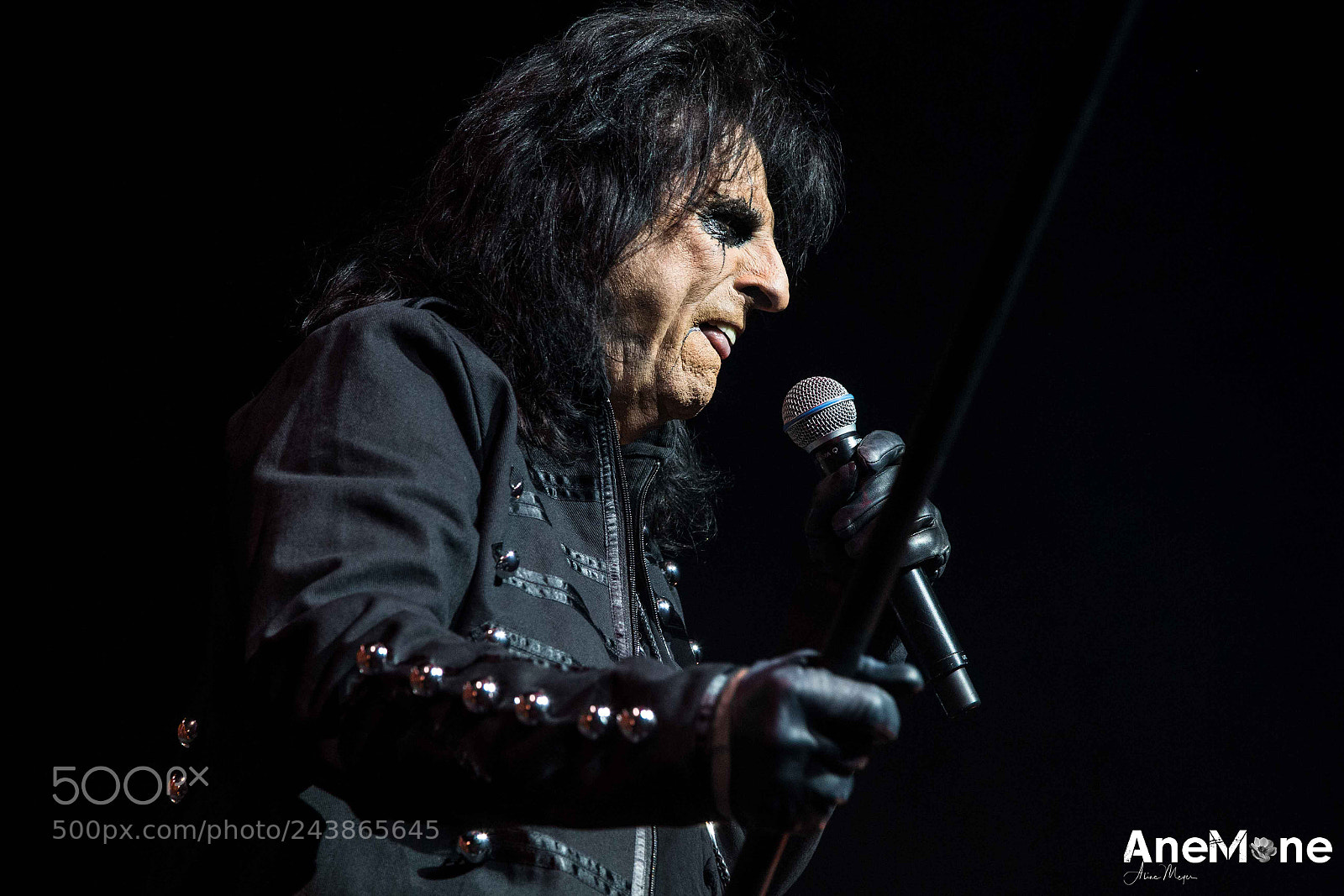 Canon EOS-1D X sample photo. Alice cooper photography