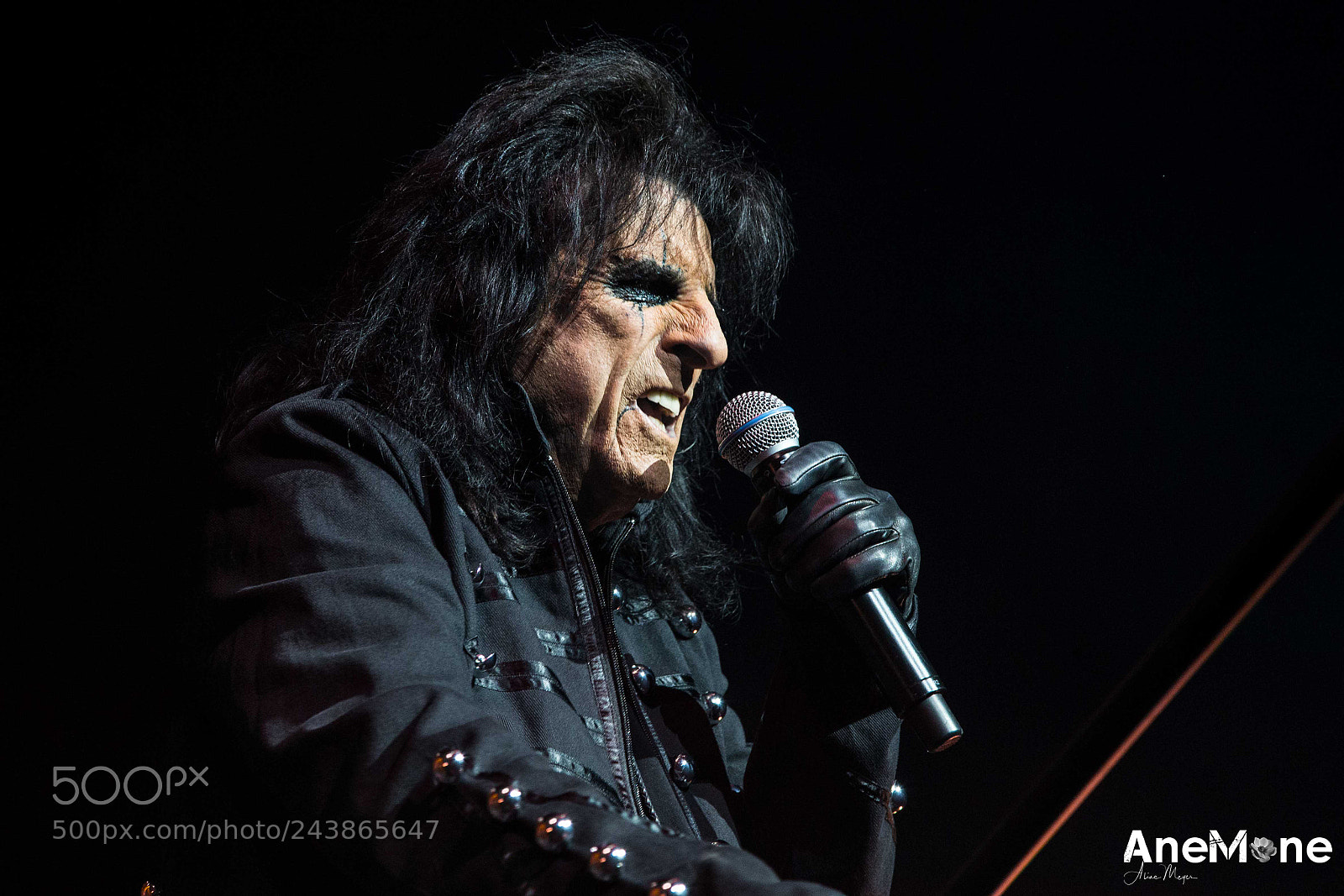 Canon EOS-1D X sample photo. Alice cooper photography