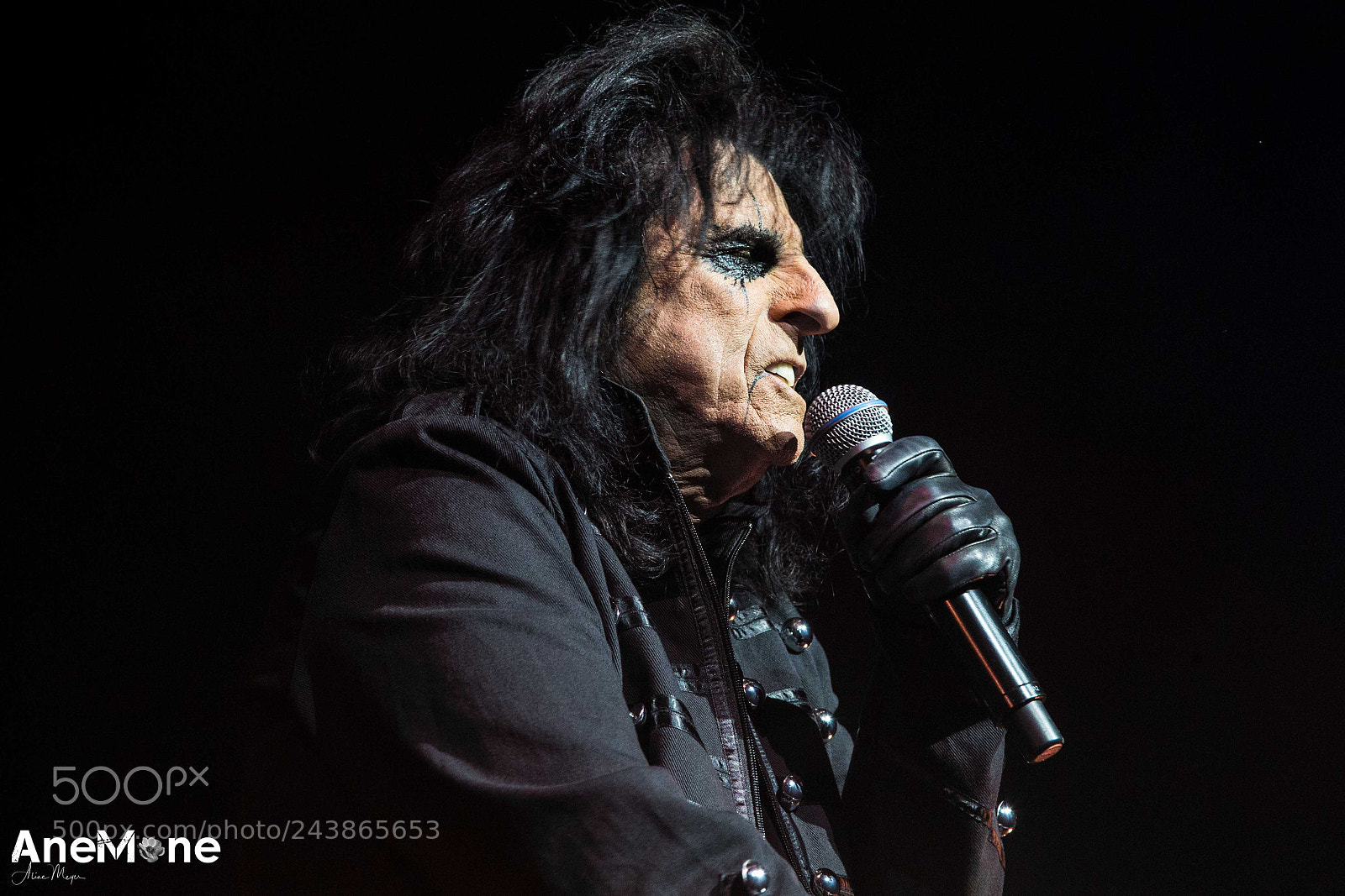 Canon EOS-1D X sample photo. Alice cooper photography