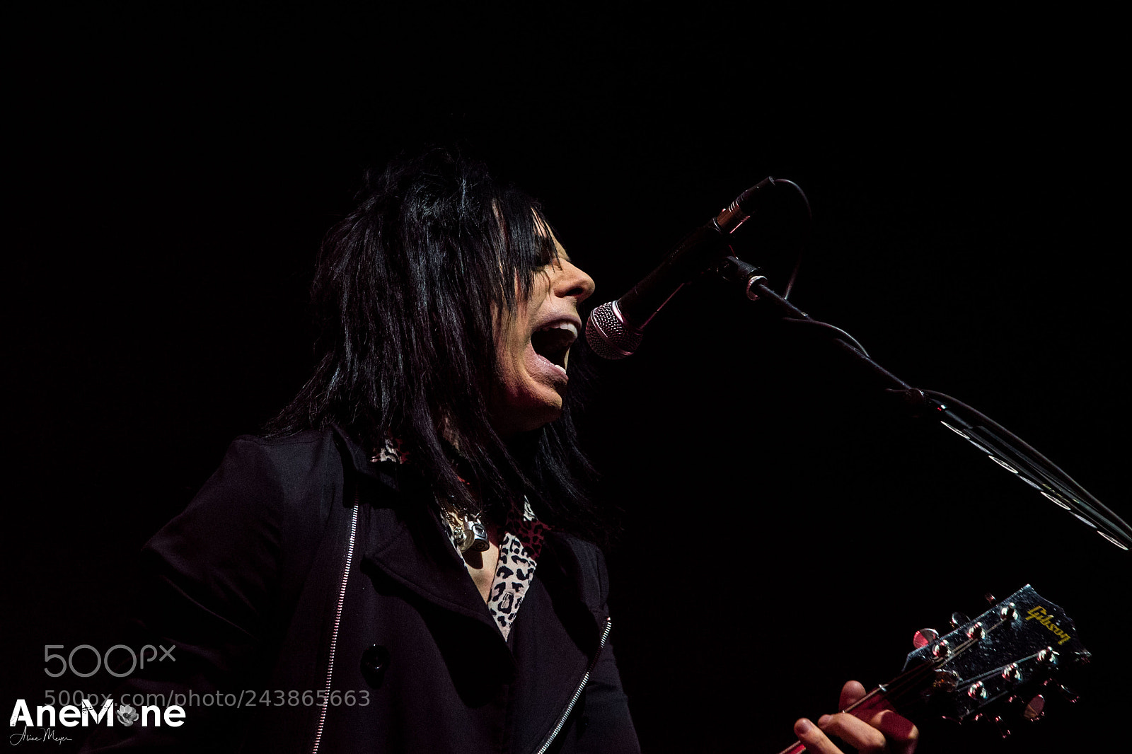 Canon EOS-1D X sample photo. Alice cooper photography