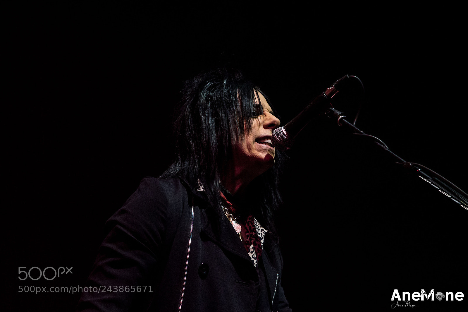 Canon EOS-1D X sample photo. Alice cooper photography