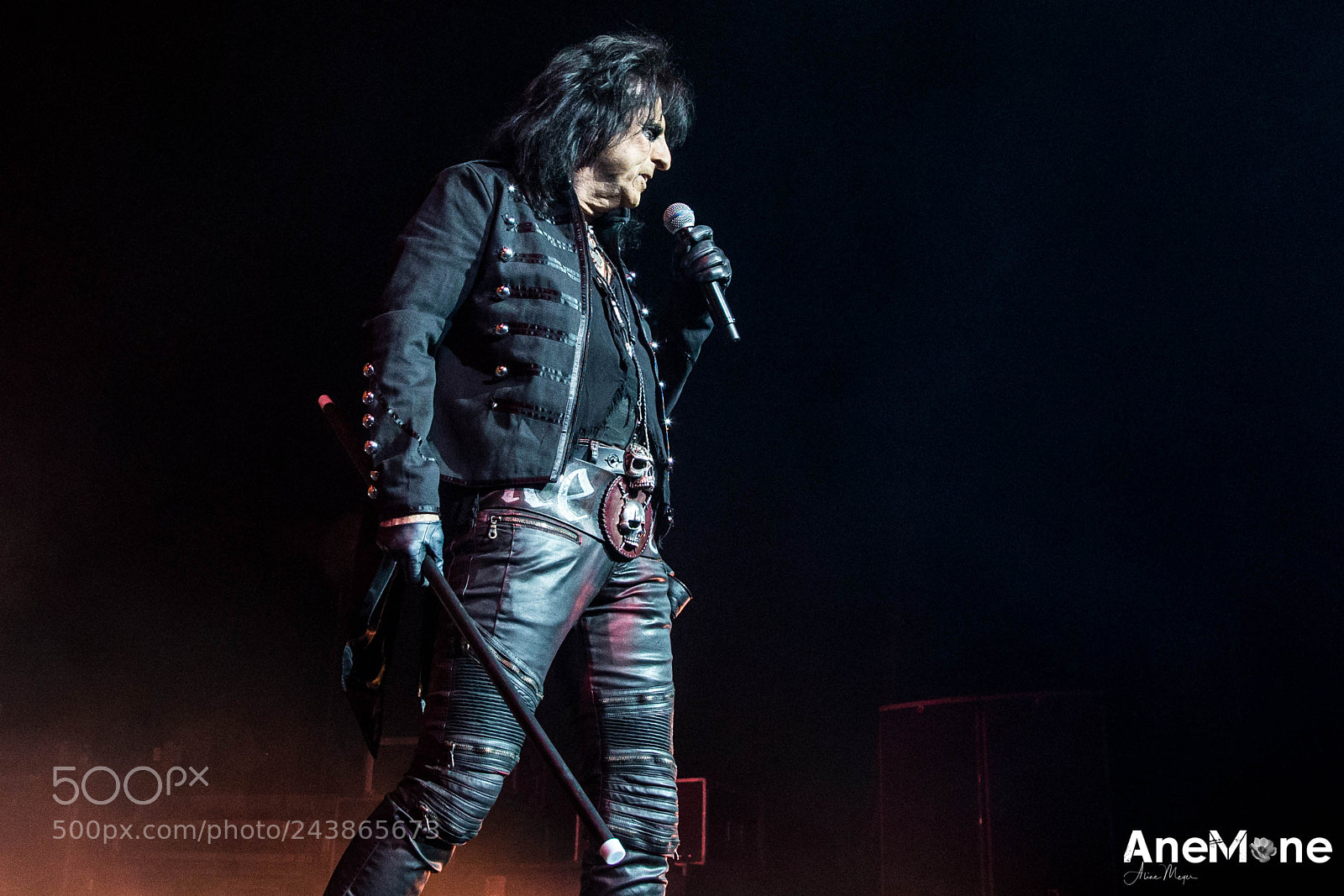 Canon EOS-1D X sample photo. Alice cooper photography