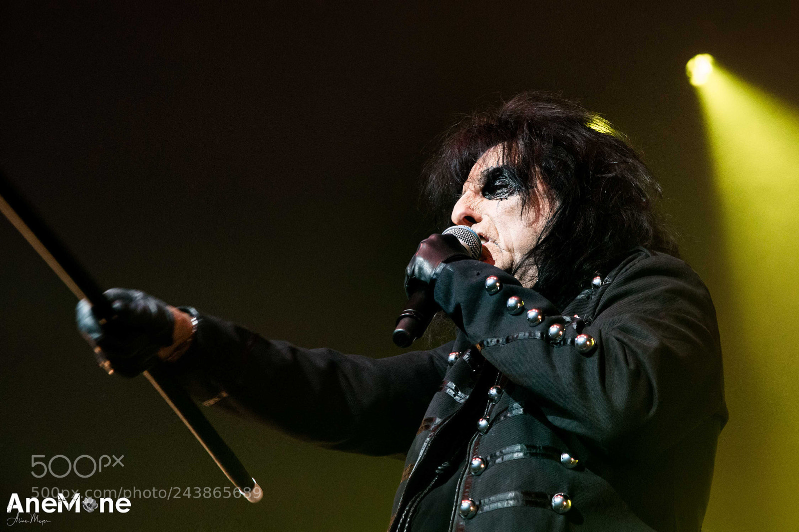 Canon EOS-1D X sample photo. Alice cooper photography
