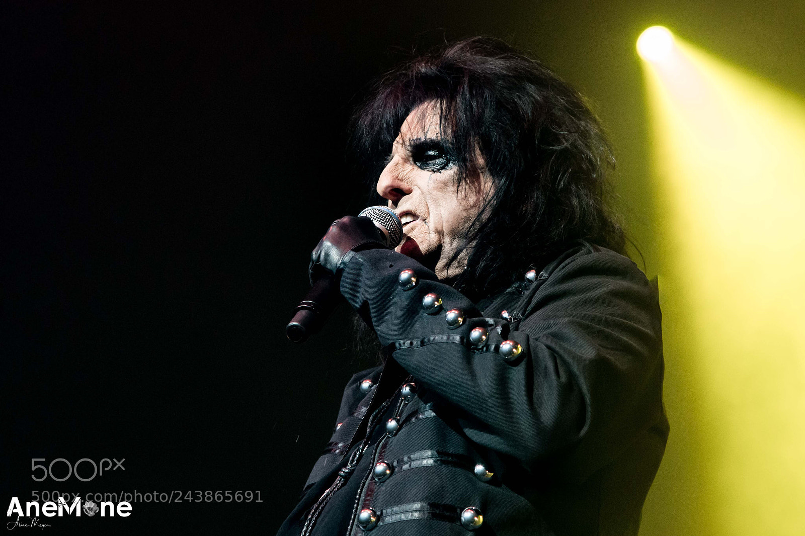 Canon EOS-1D X sample photo. Alice cooper photography