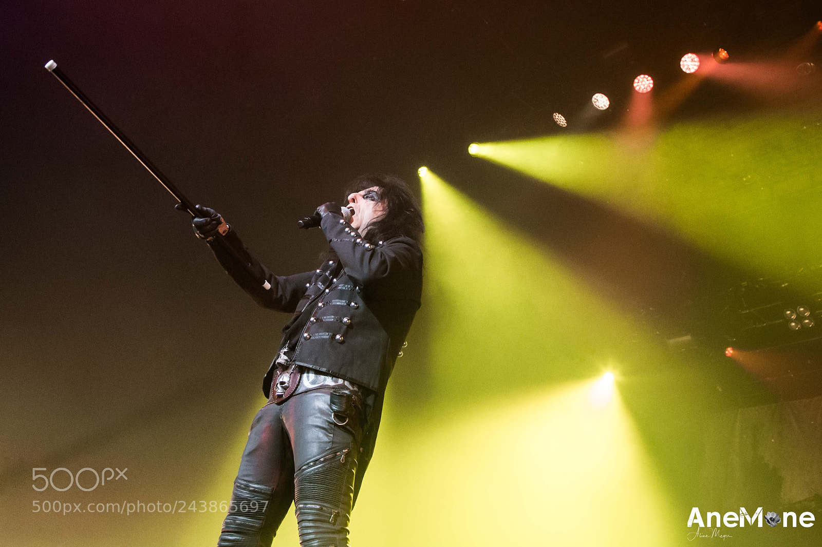 Canon EOS-1D X sample photo. Alice cooper photography
