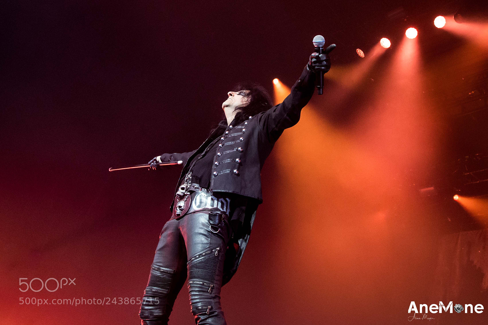 Canon EOS-1D X sample photo. Alice cooper photography