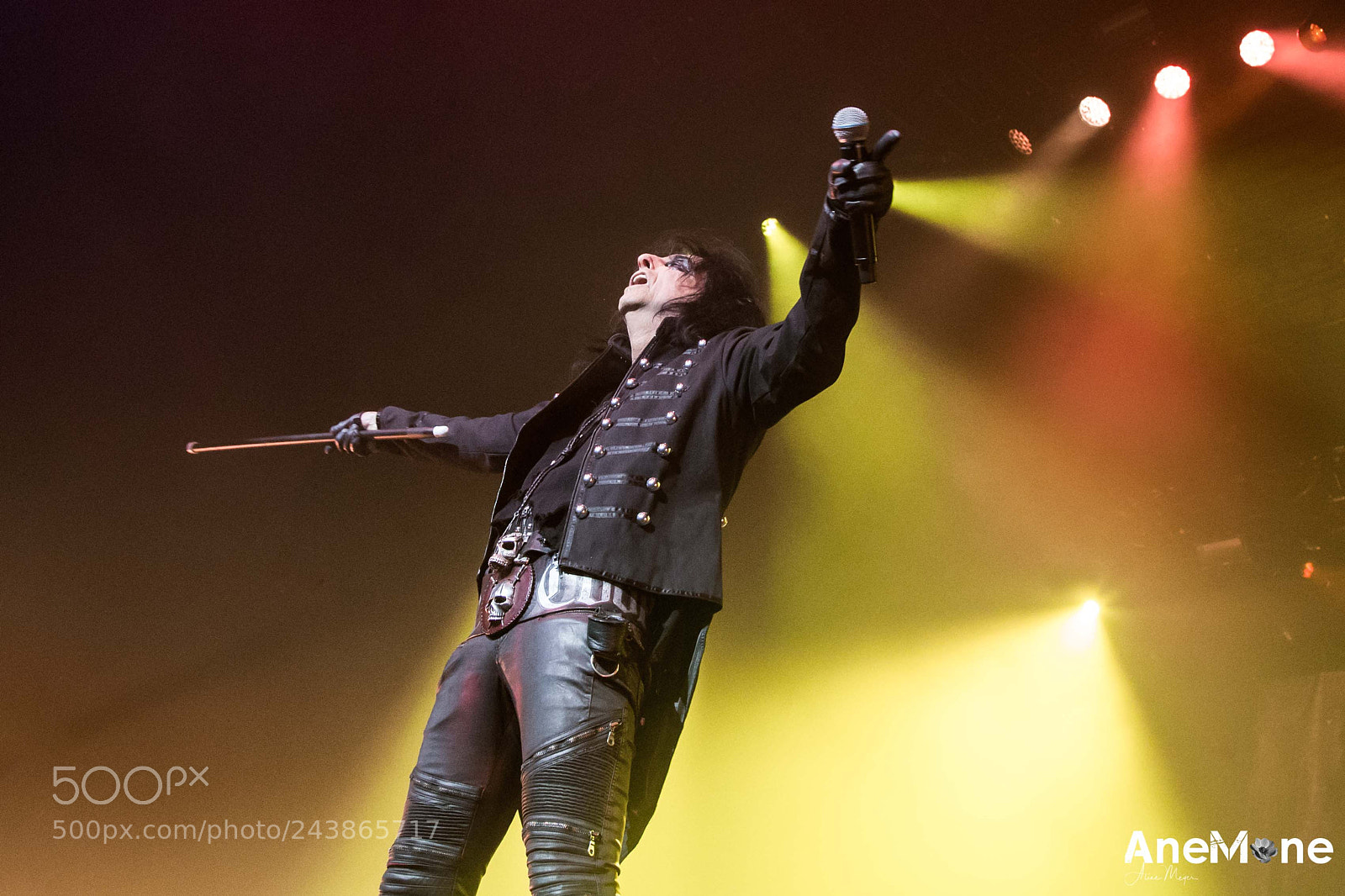 Canon EOS-1D X sample photo. Alice cooper photography