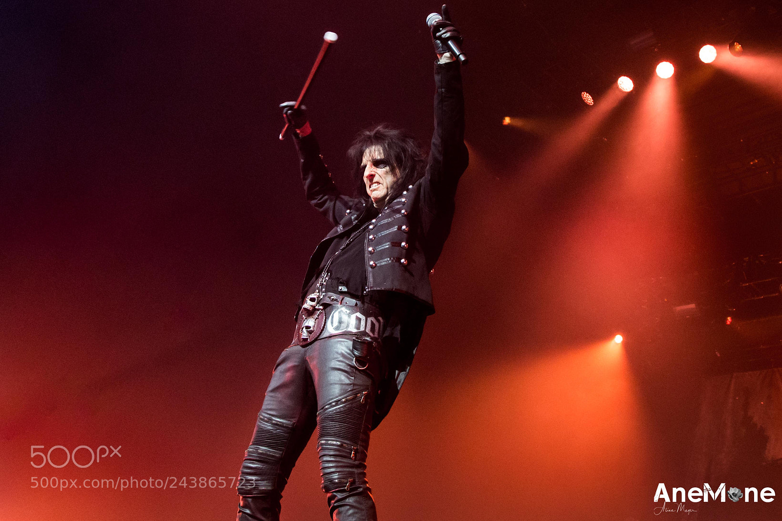 Canon EOS-1D X sample photo. Alice cooper photography