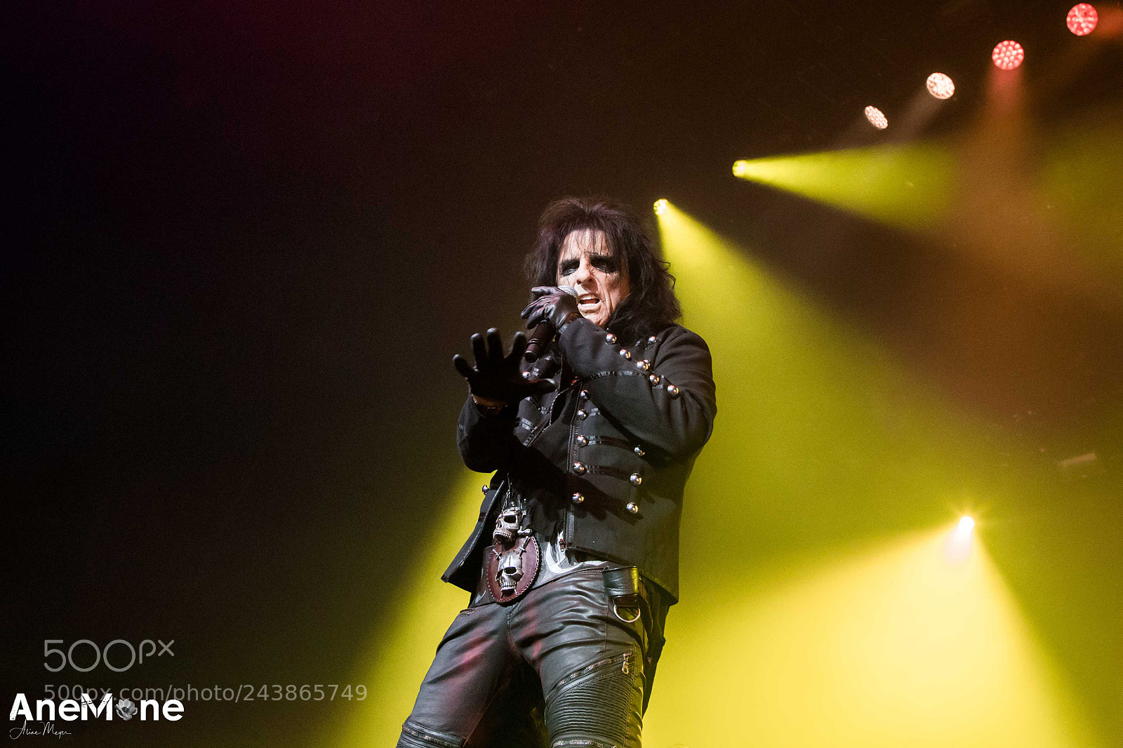 Canon EOS-1D X sample photo. Alice cooper photography