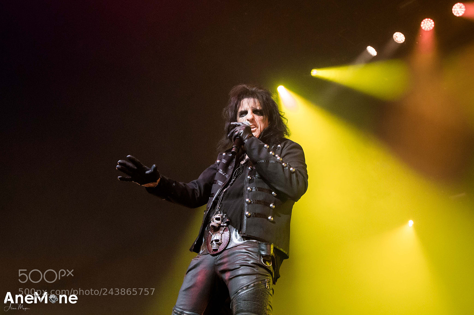 Canon EOS-1D X sample photo. Alice cooper photography