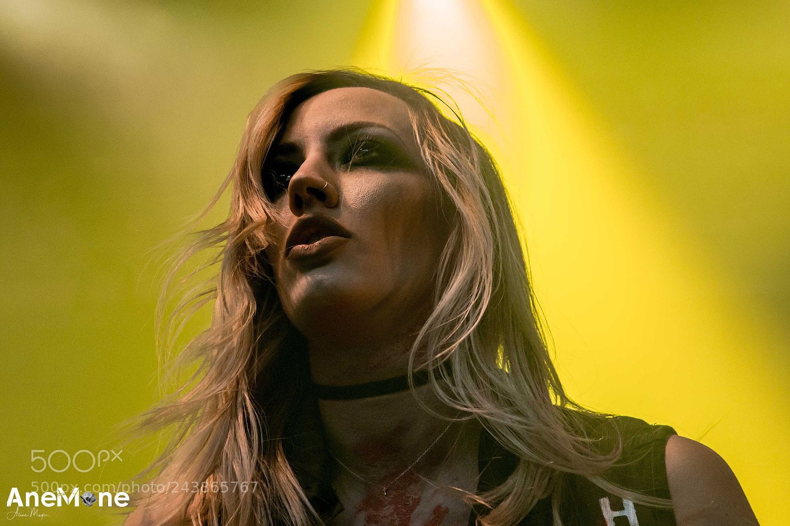 Canon EOS-1D X sample photo. Alice cooper photography