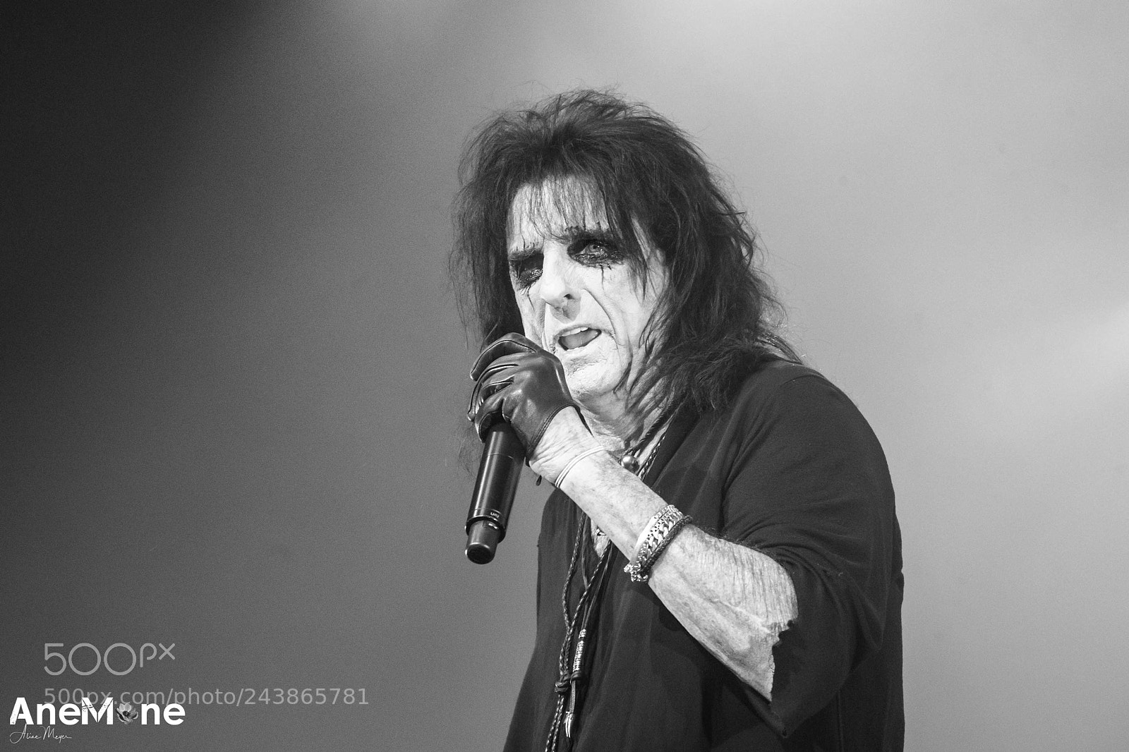 Canon EOS-1D X sample photo. Alice cooper photography
