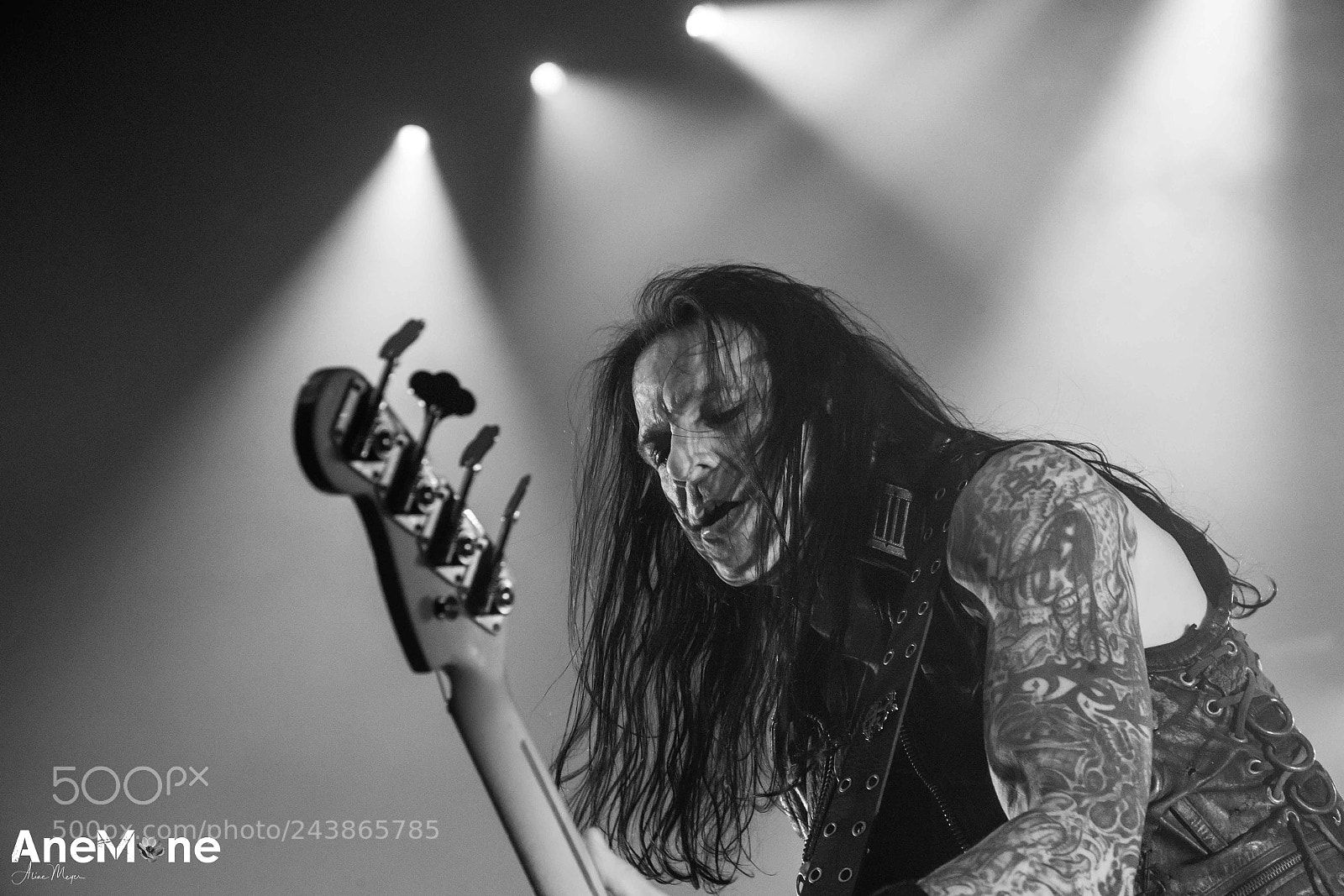 Canon EOS-1D X sample photo. Alice cooper photography