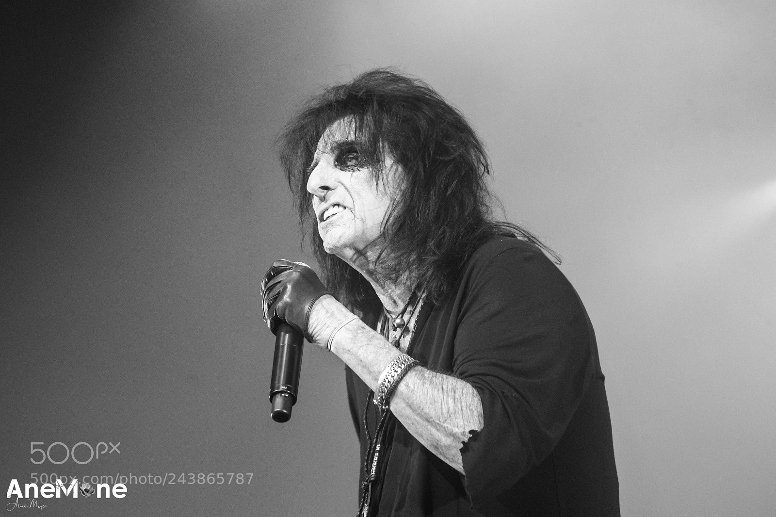 Canon EOS-1D X sample photo. Alice cooper photography